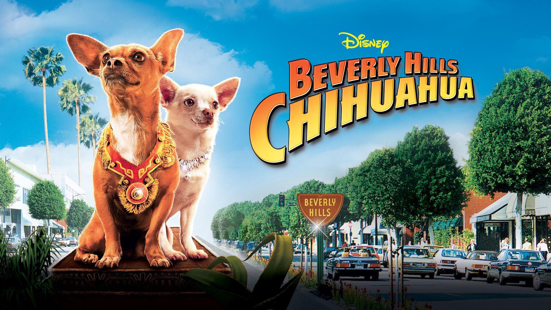 Watch a clip from Beverly Hills Chihuahua Trailer on Disney+