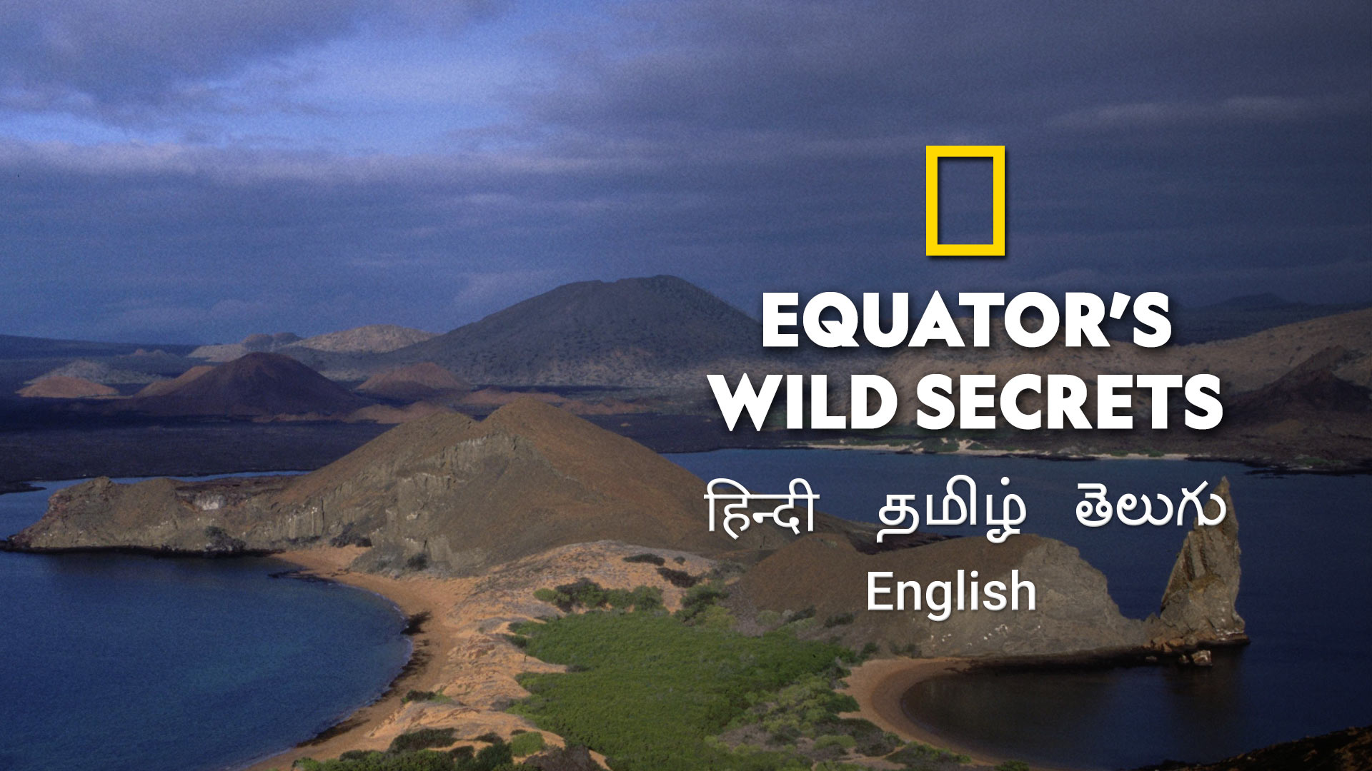 Equator's Wild Secrets