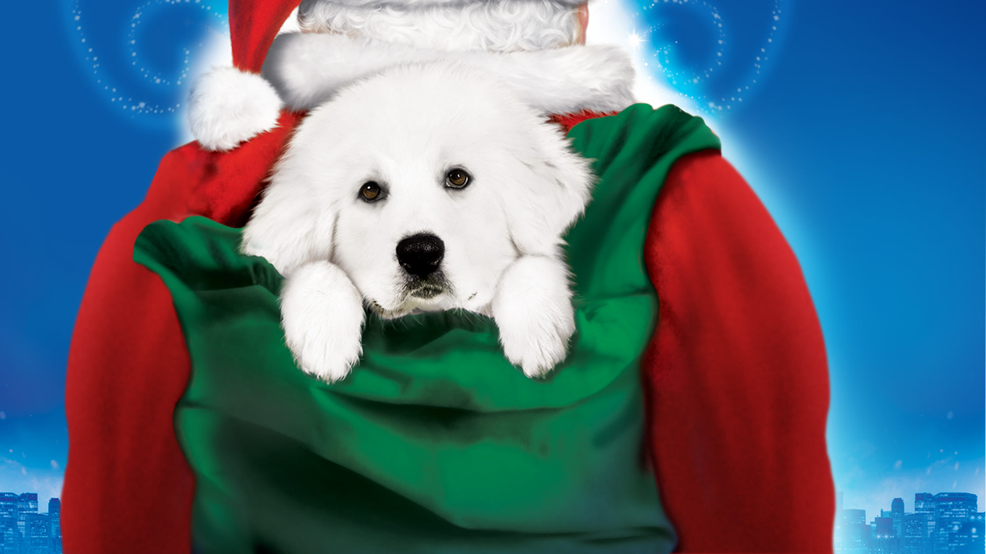 The Search for Santa Paws on Disney+ Kuwait English Arabic (Classical