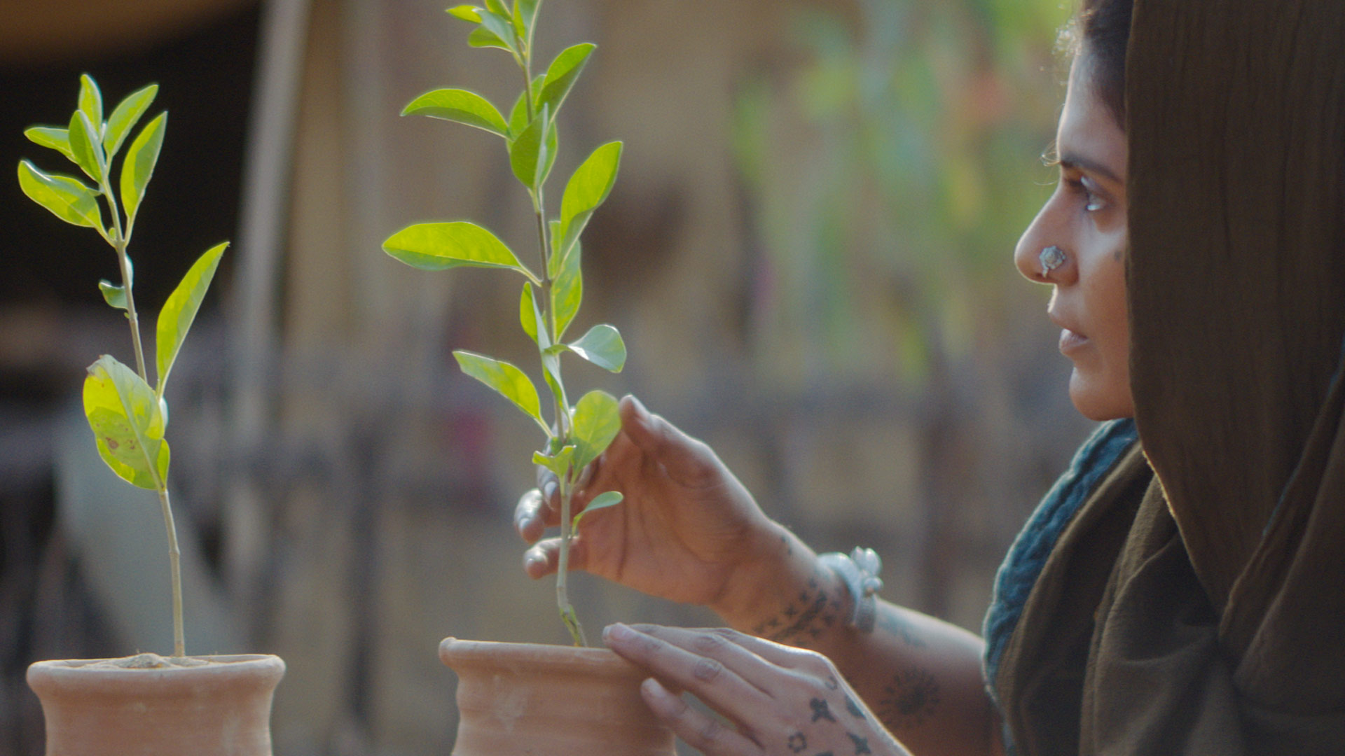 Watch Saas Bahu Aur Flamingo Episode 3 On JioHotstar