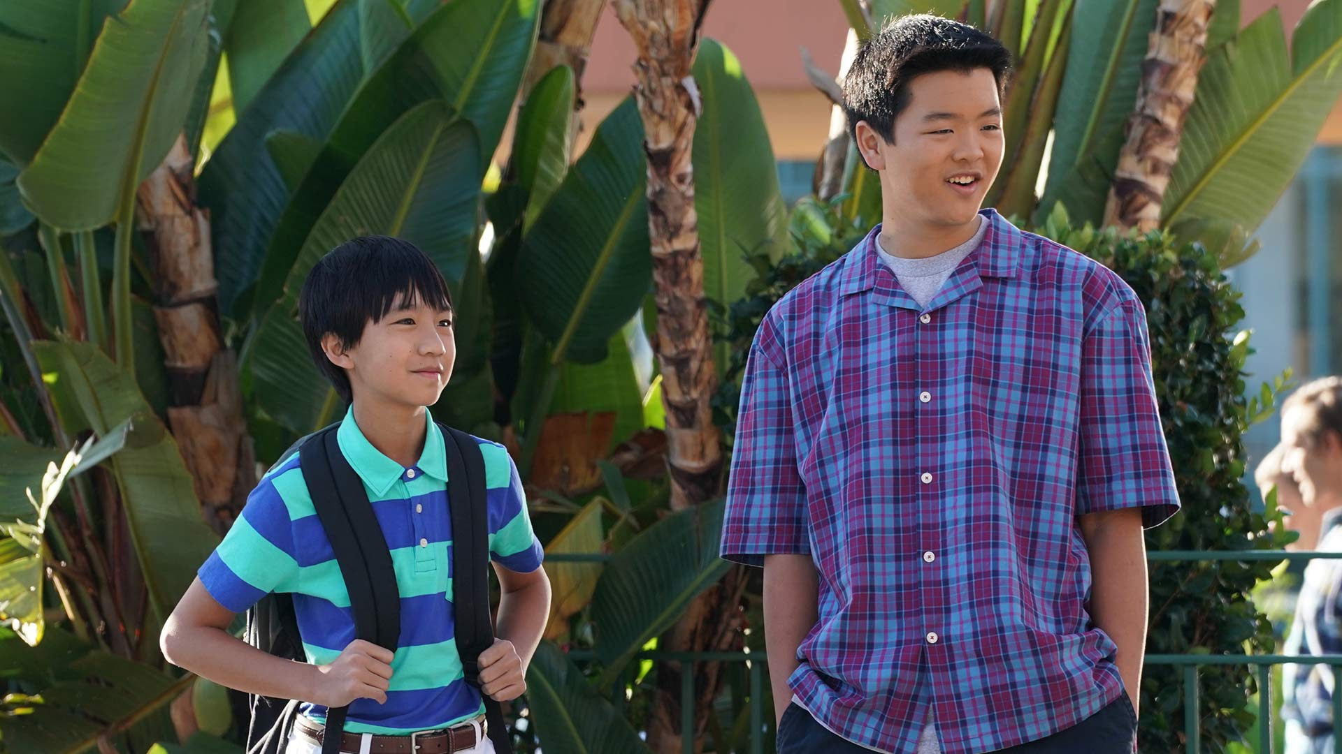 Stream The Magic Motor Inn Season 6 Episode 12 – The Magic Motor Inn on ...