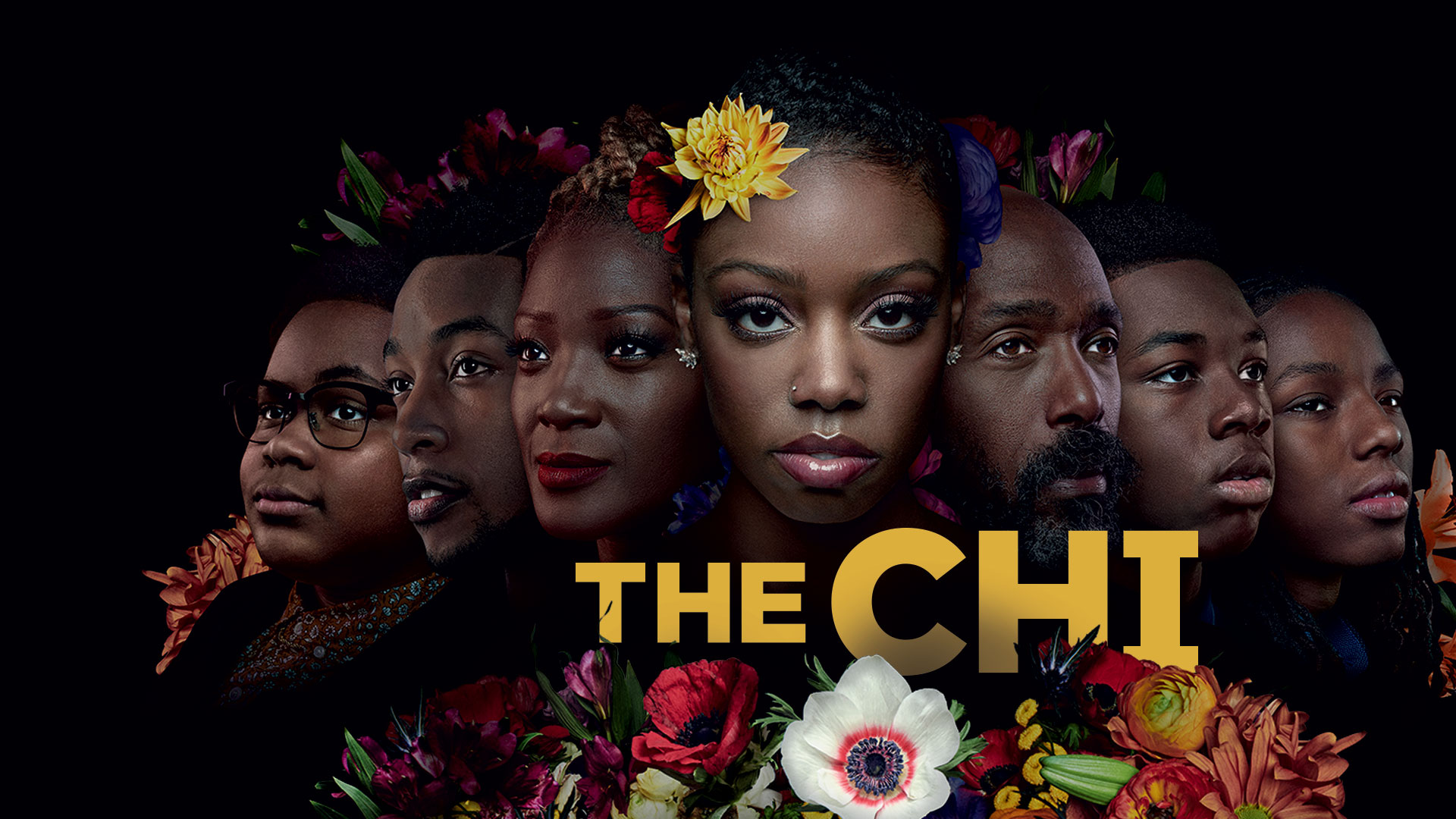 Watch the chi online season 1