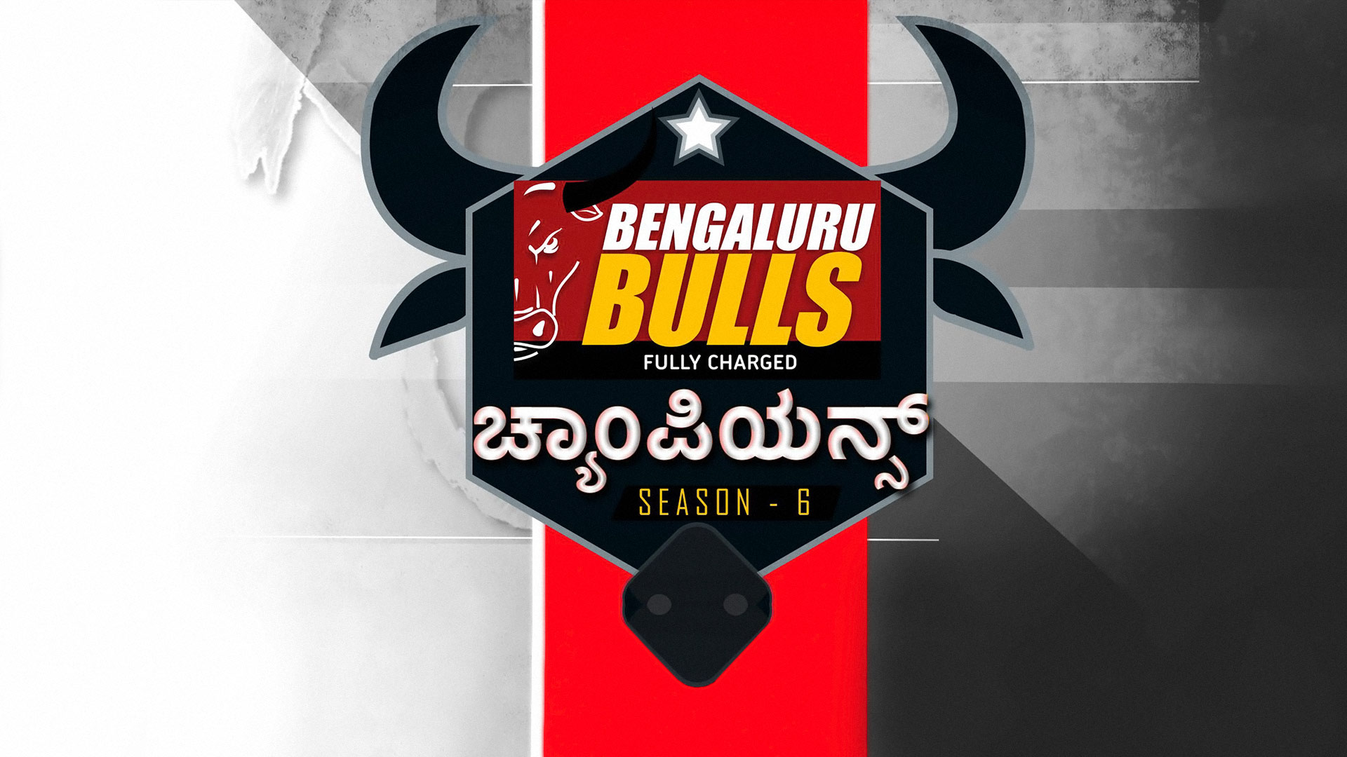 Bengaluru Bulls Champions 2019 Kannada