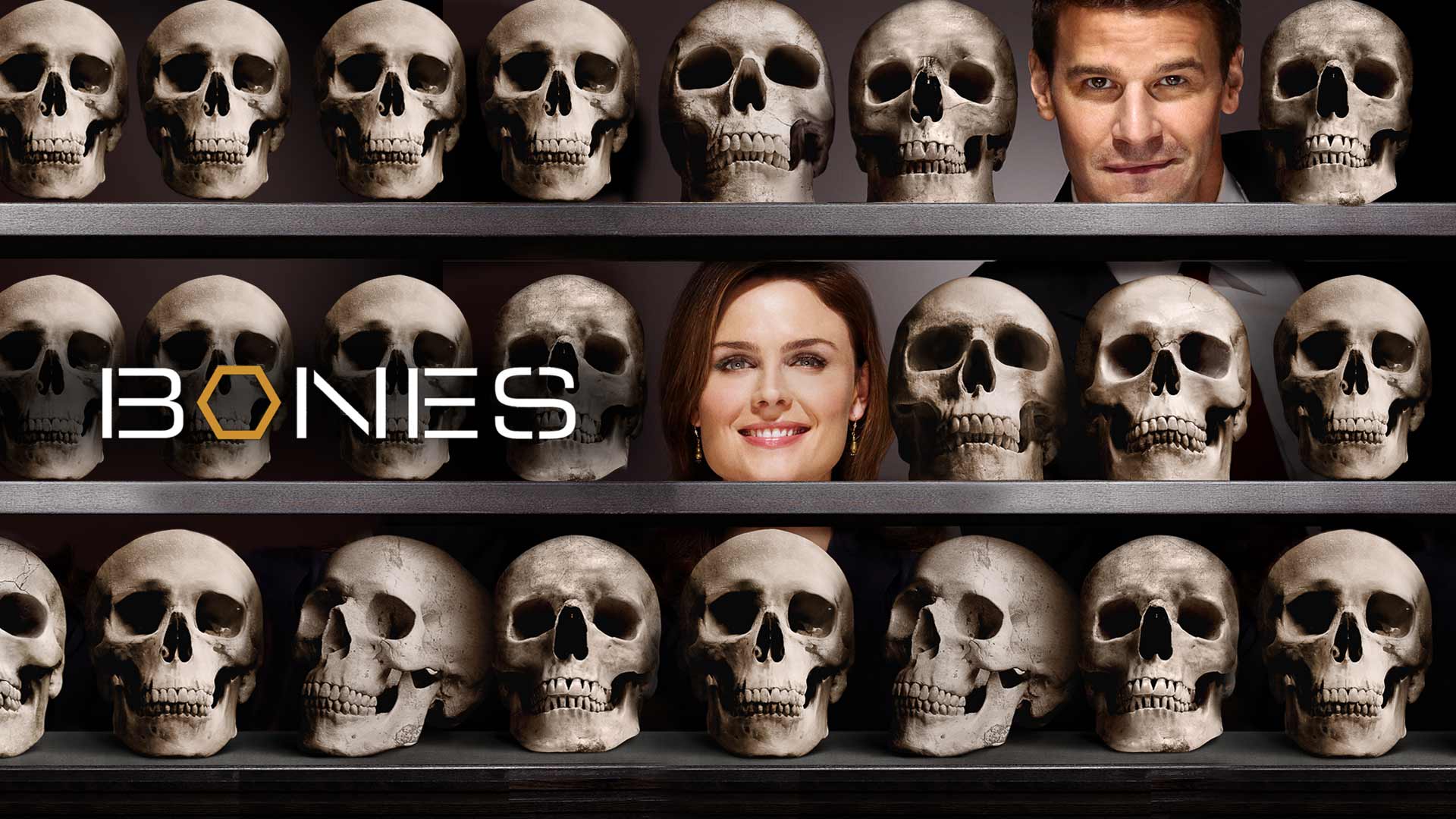 TV Show Bones HD Wallpaper