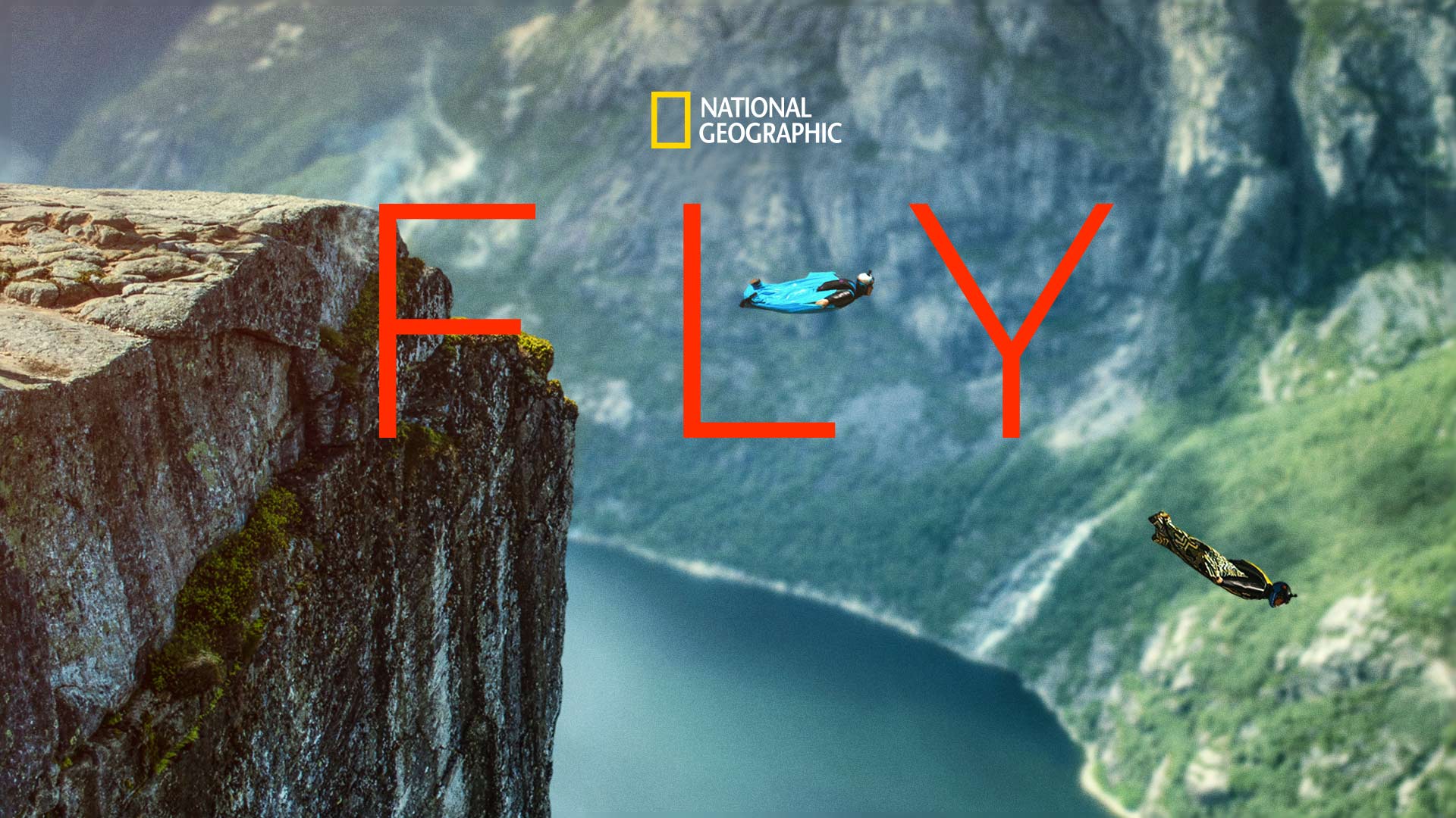 Fly