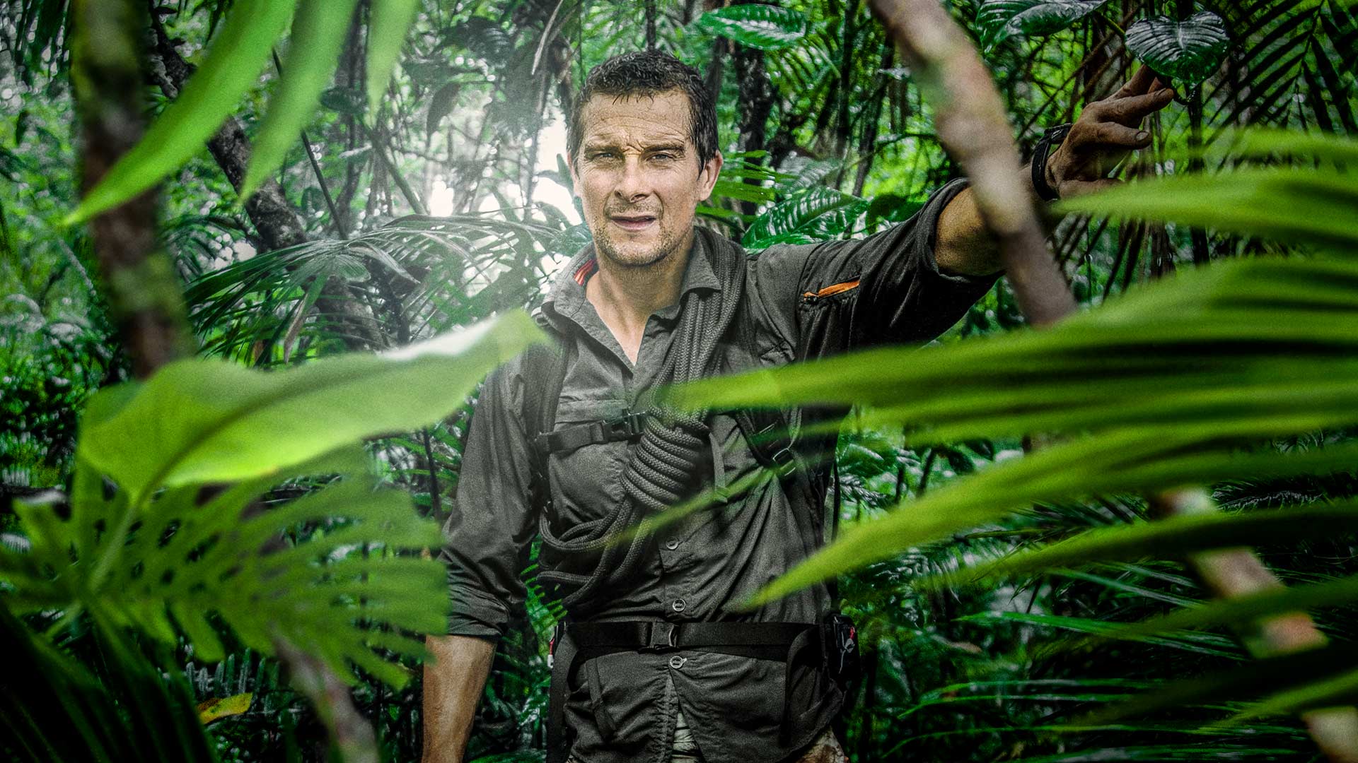 Running Wild with Bear Grylls Disney+