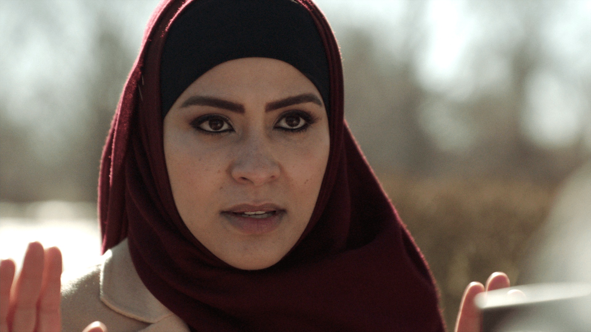 Watch Quantico S2 Episode 21 on Disney+ South Africa | English Police ...