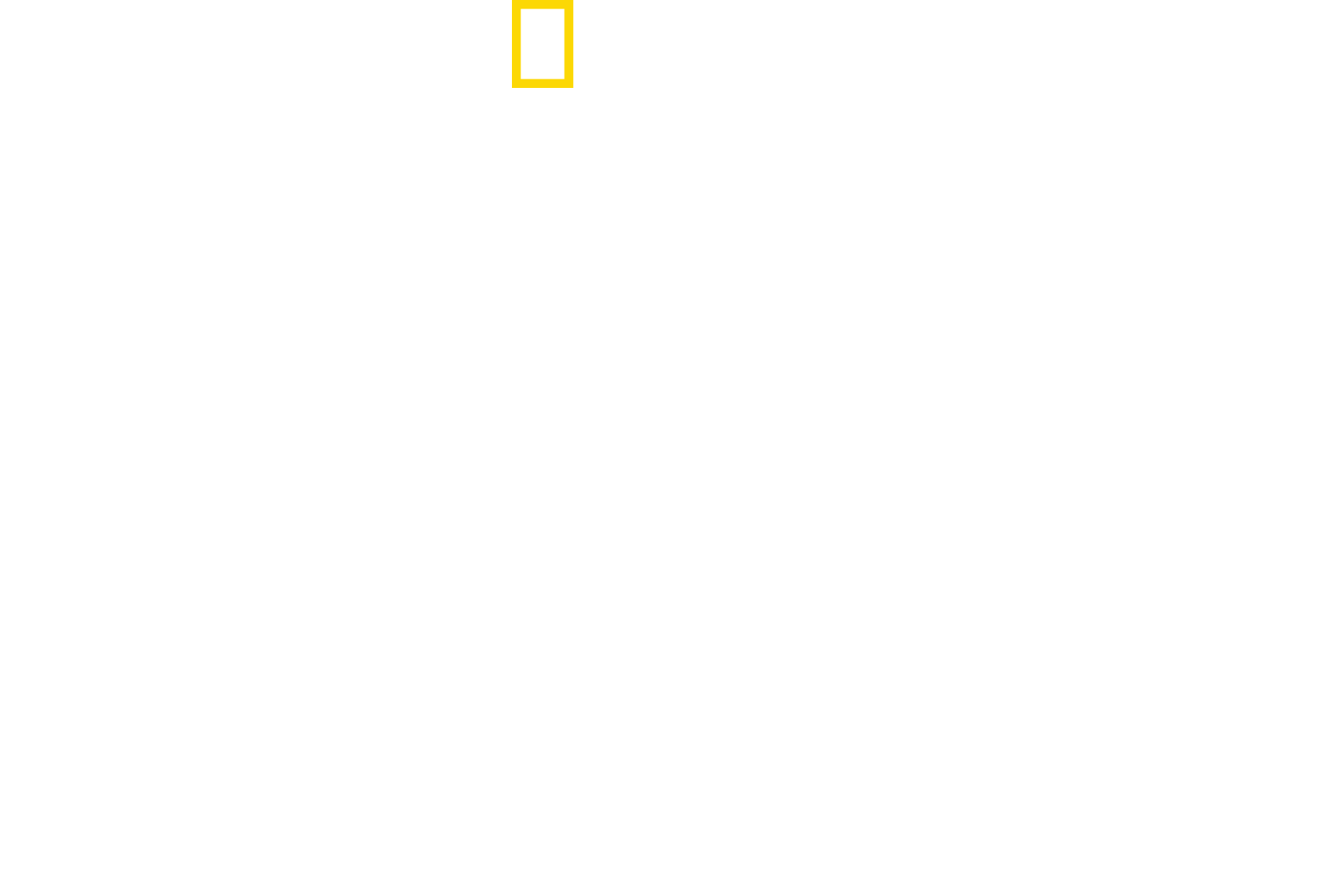 ultimate-survival-wwii-disney