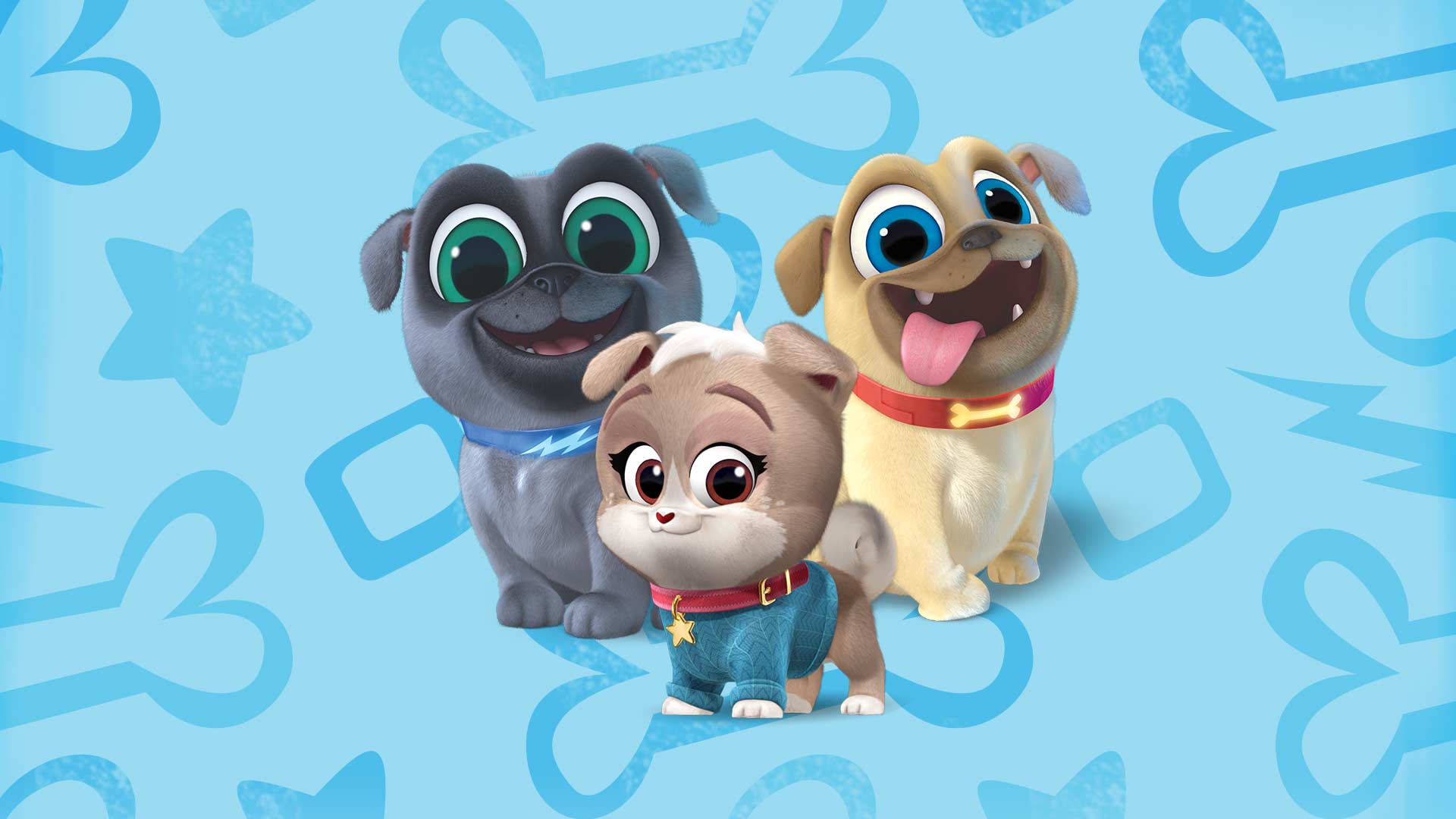What Kind Of Dog Is Puppy Dog Pals