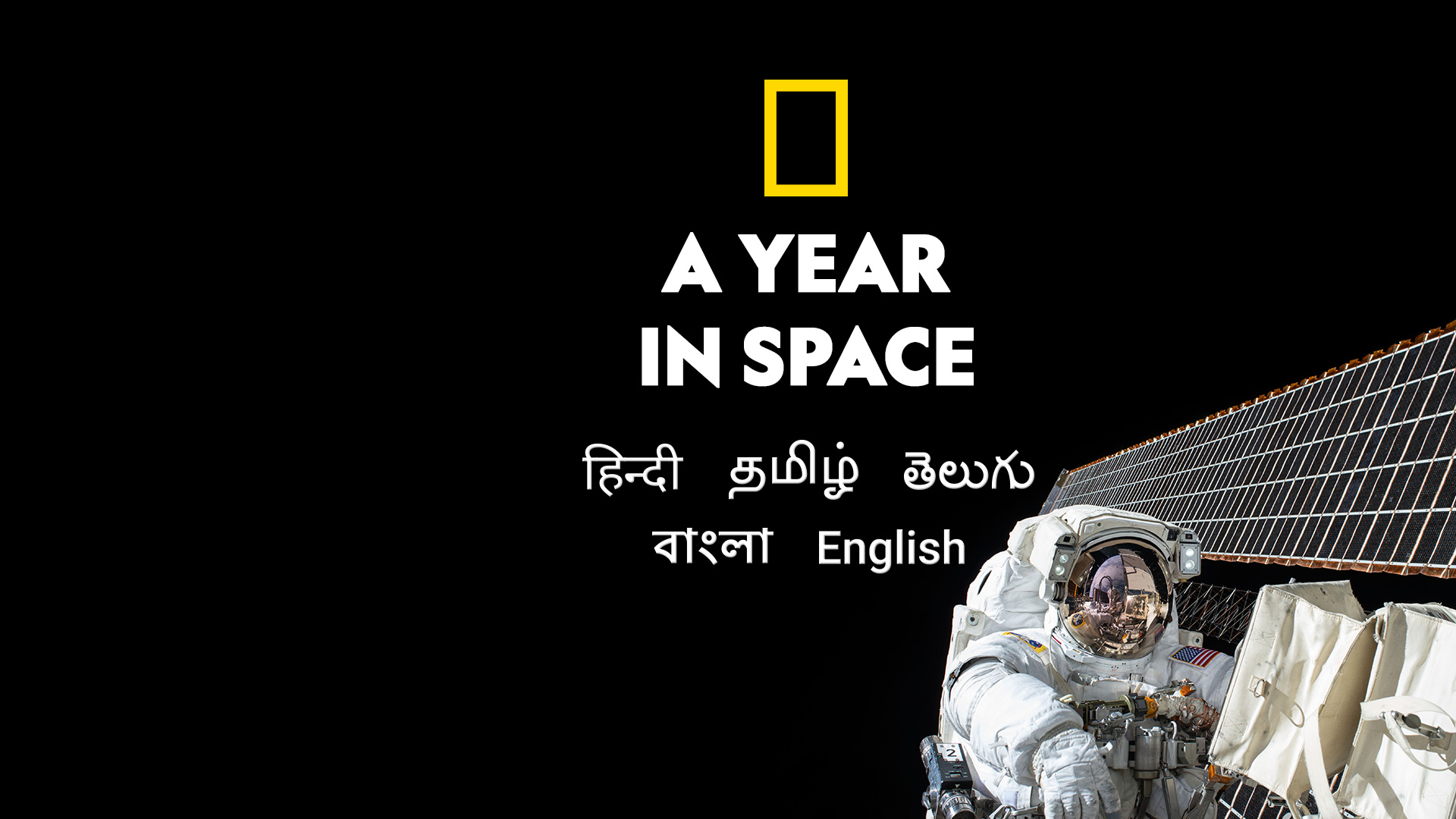 A Year In Space