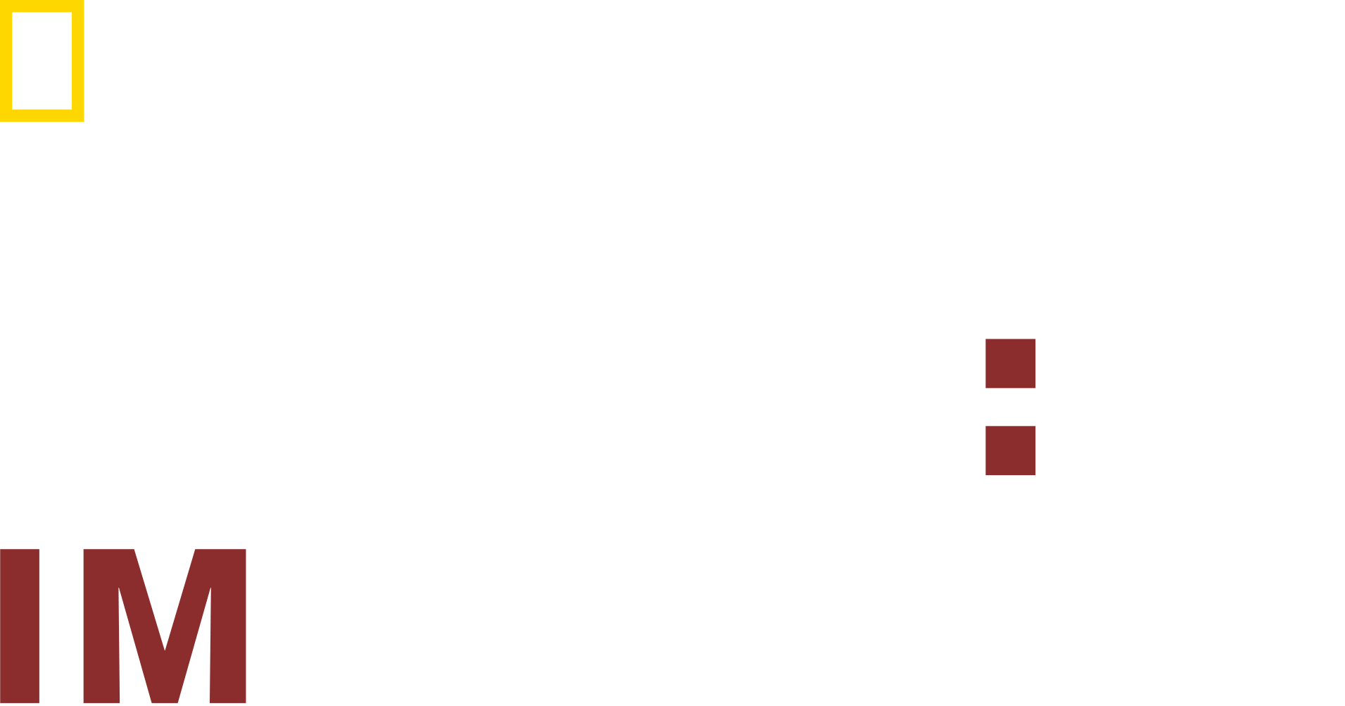 dog-impossible-disney