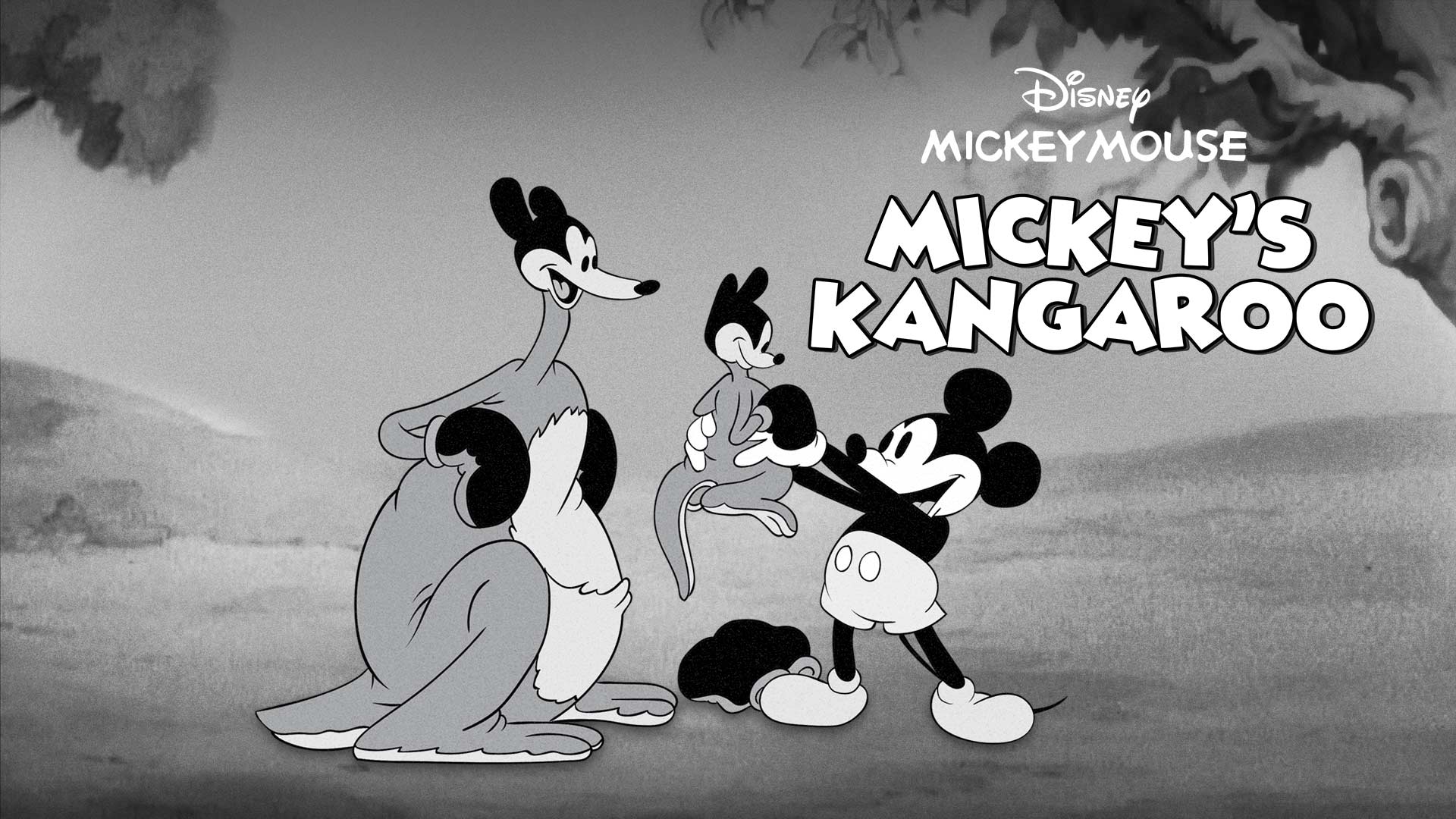 Mickey's Kangaroo