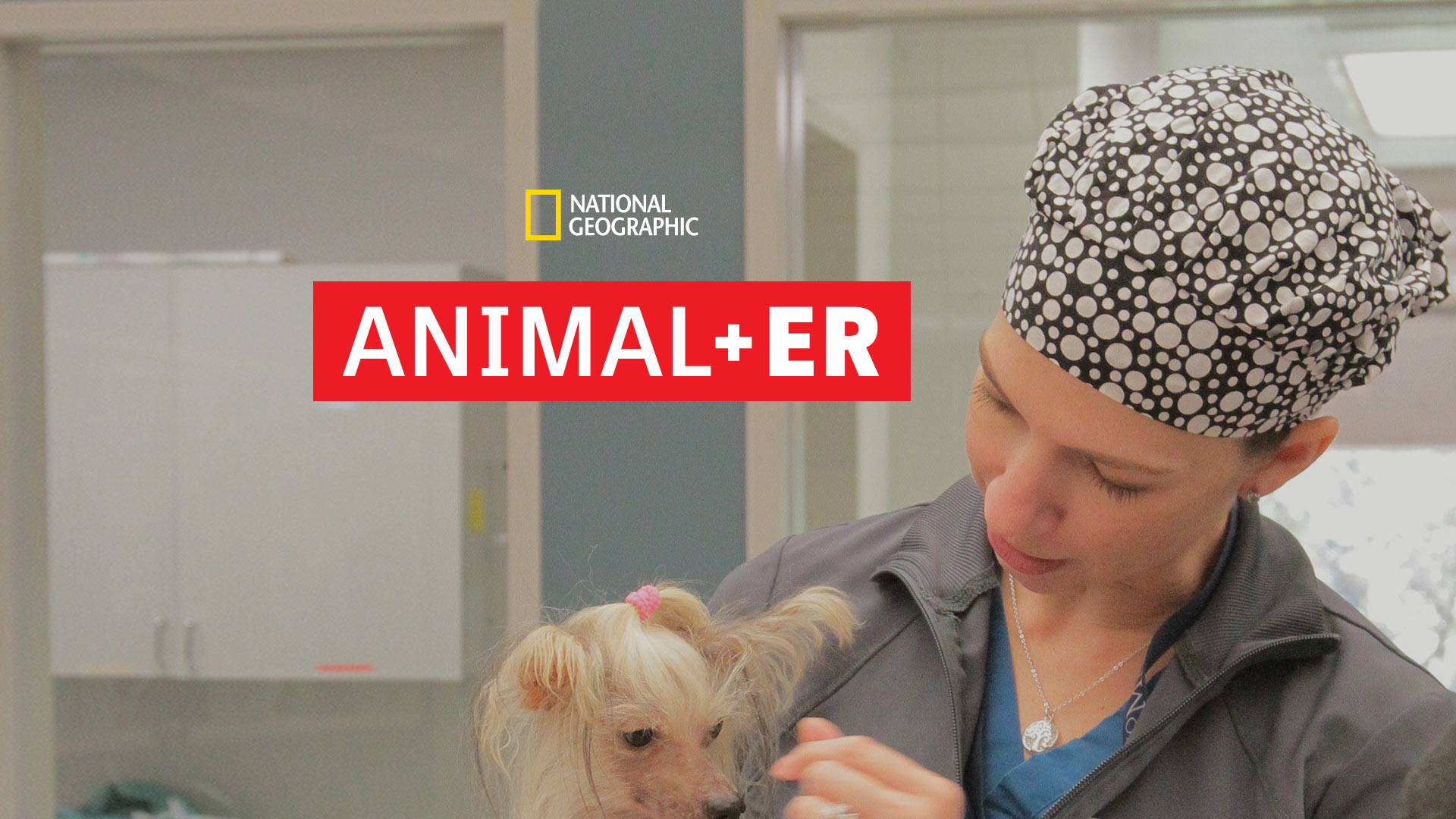 Animal Er Docudrama Tv Series Nonton Semua Episode Terbaru Online Di Disney Hotstar