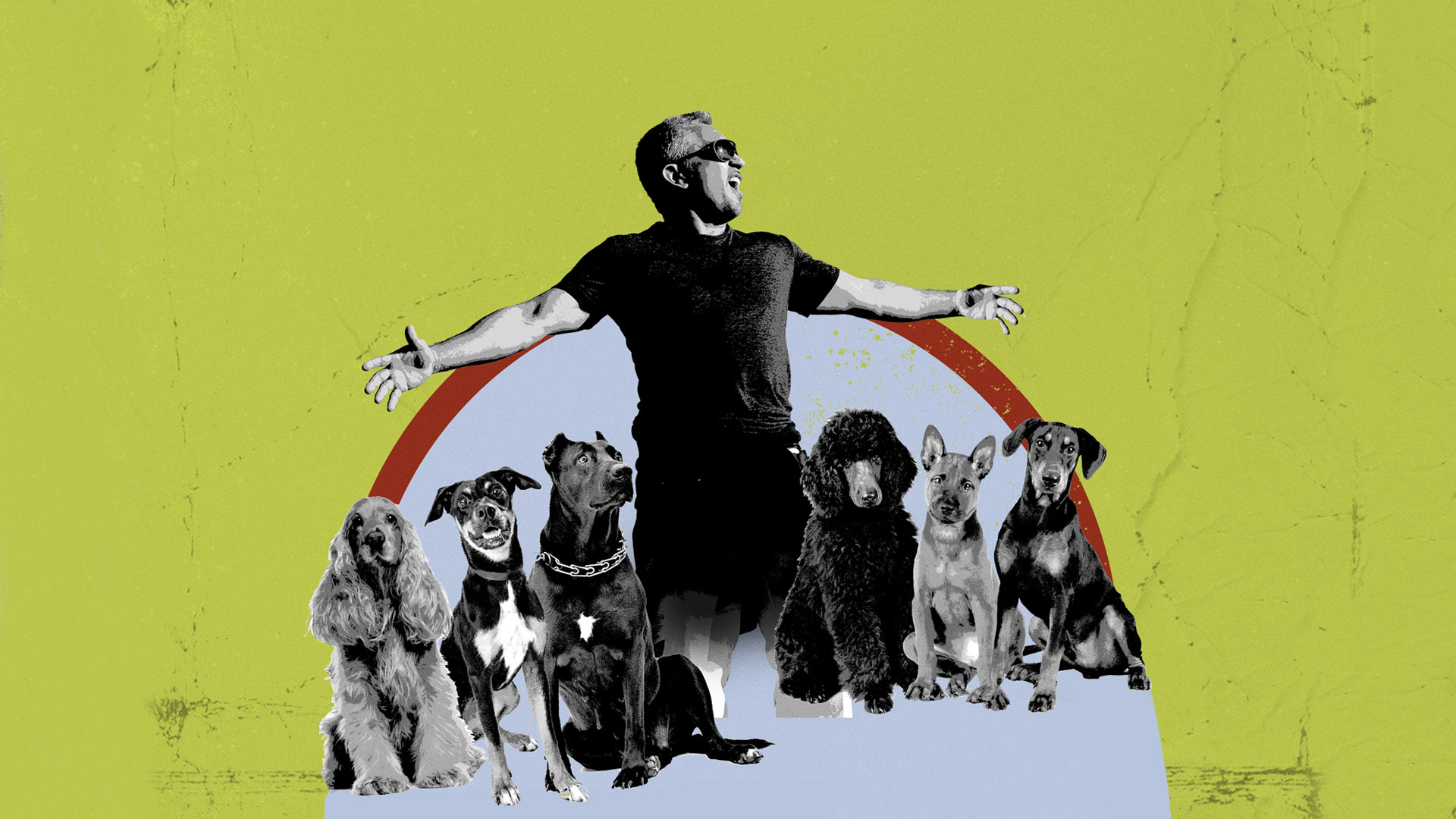 Cesar Millan The Real Story Disney+