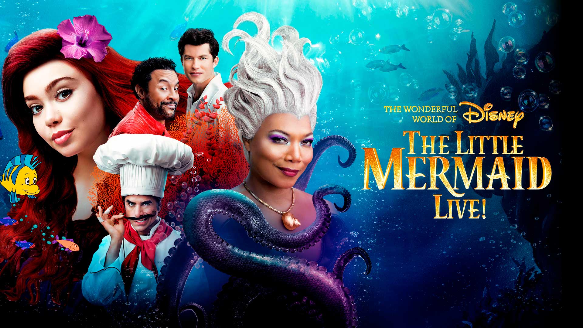 Watch Movie The Wonderful World of Disney Presents The Little Mermaid ...