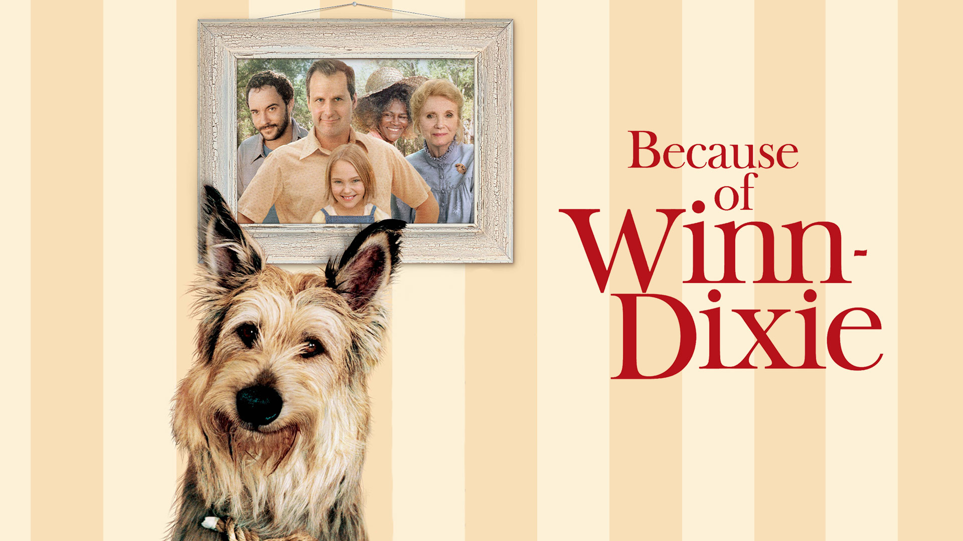 Because Of Winn Dixie Trailer Disney Hotstar 8253