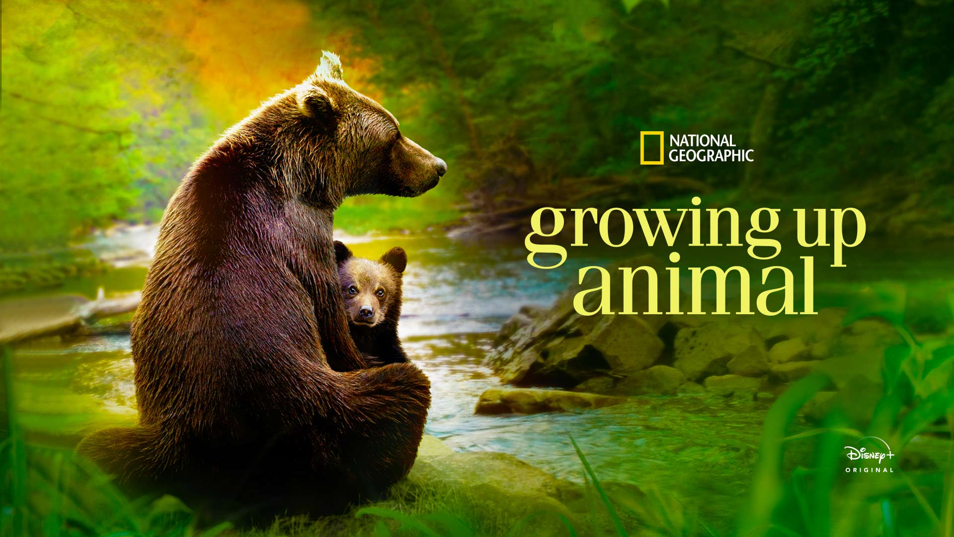 Growing Up Animal