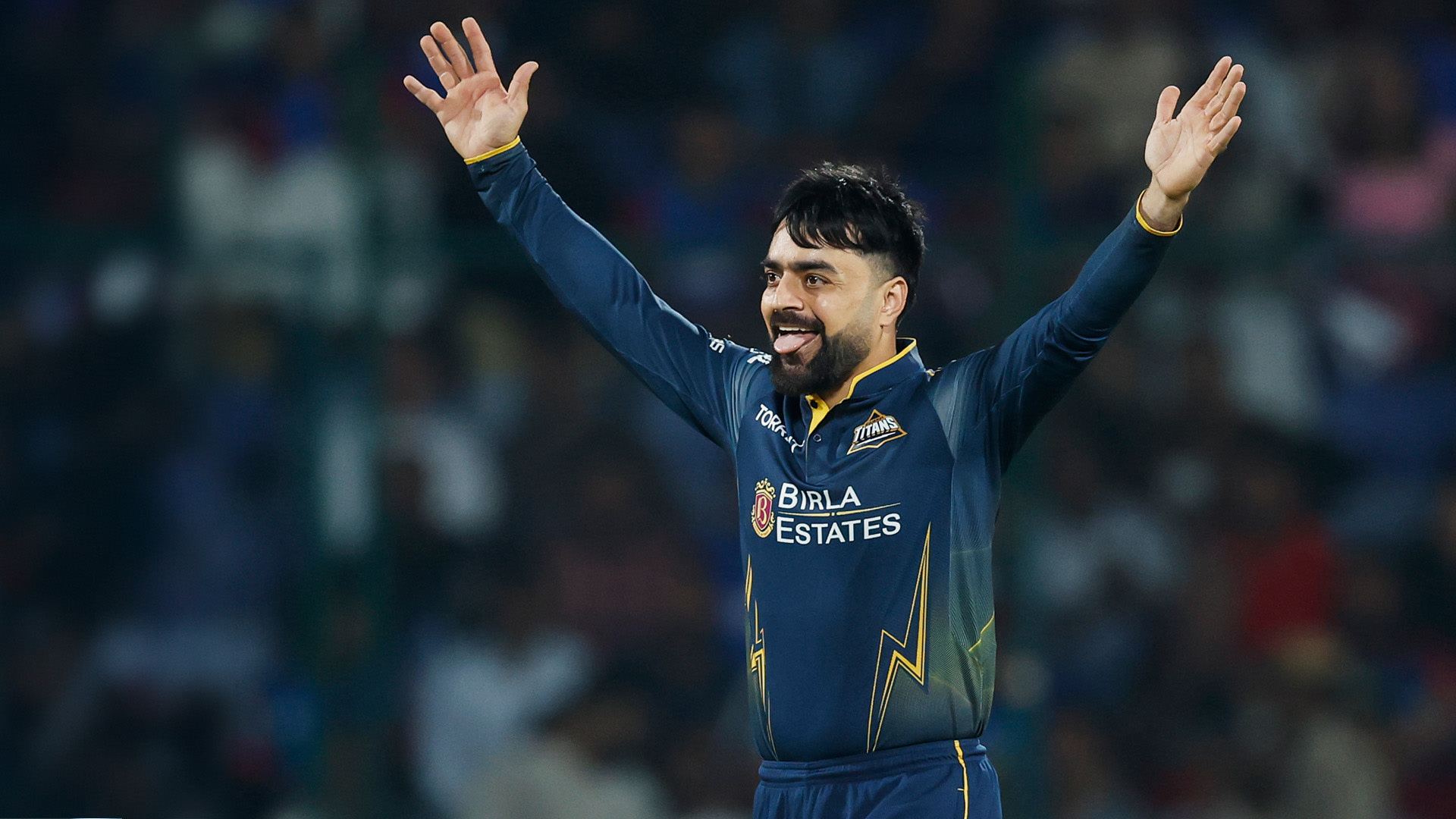 rashid-puts-capitals-in-a-spin