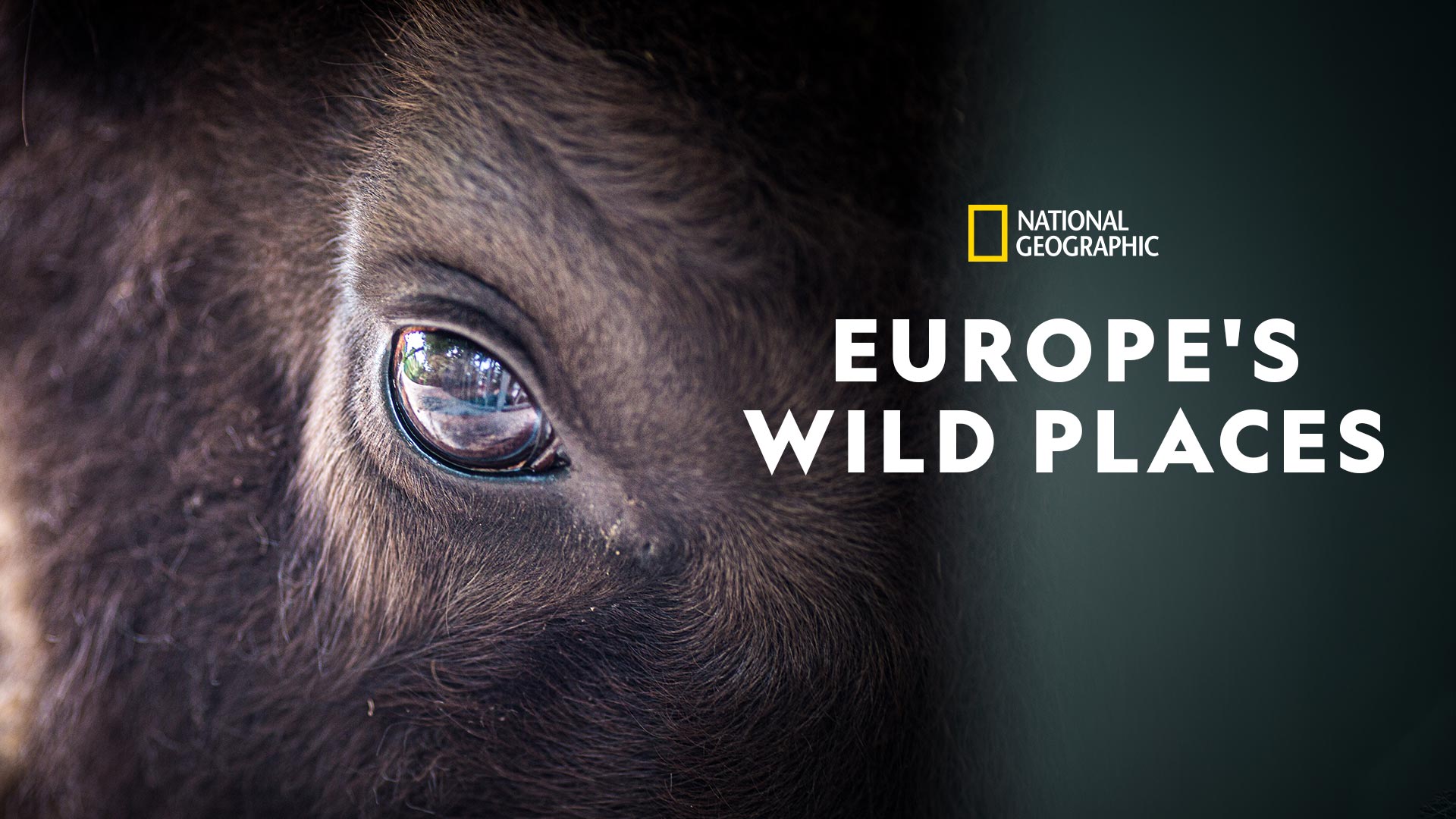 Europe's Wild Places