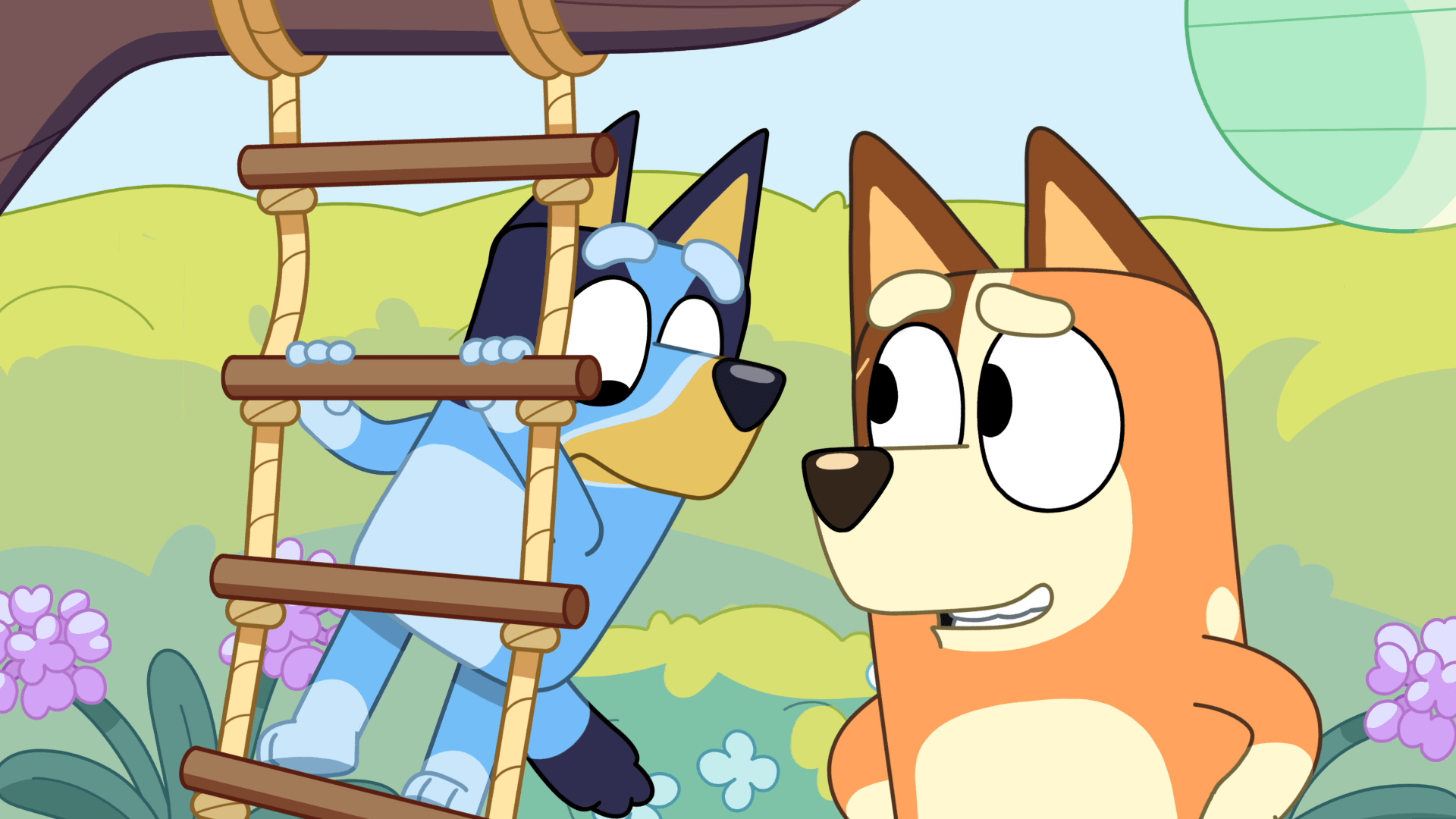 Watch בלואי S3 Episode 2 on Disney+ Israel | Arabic (Modern Standard ...