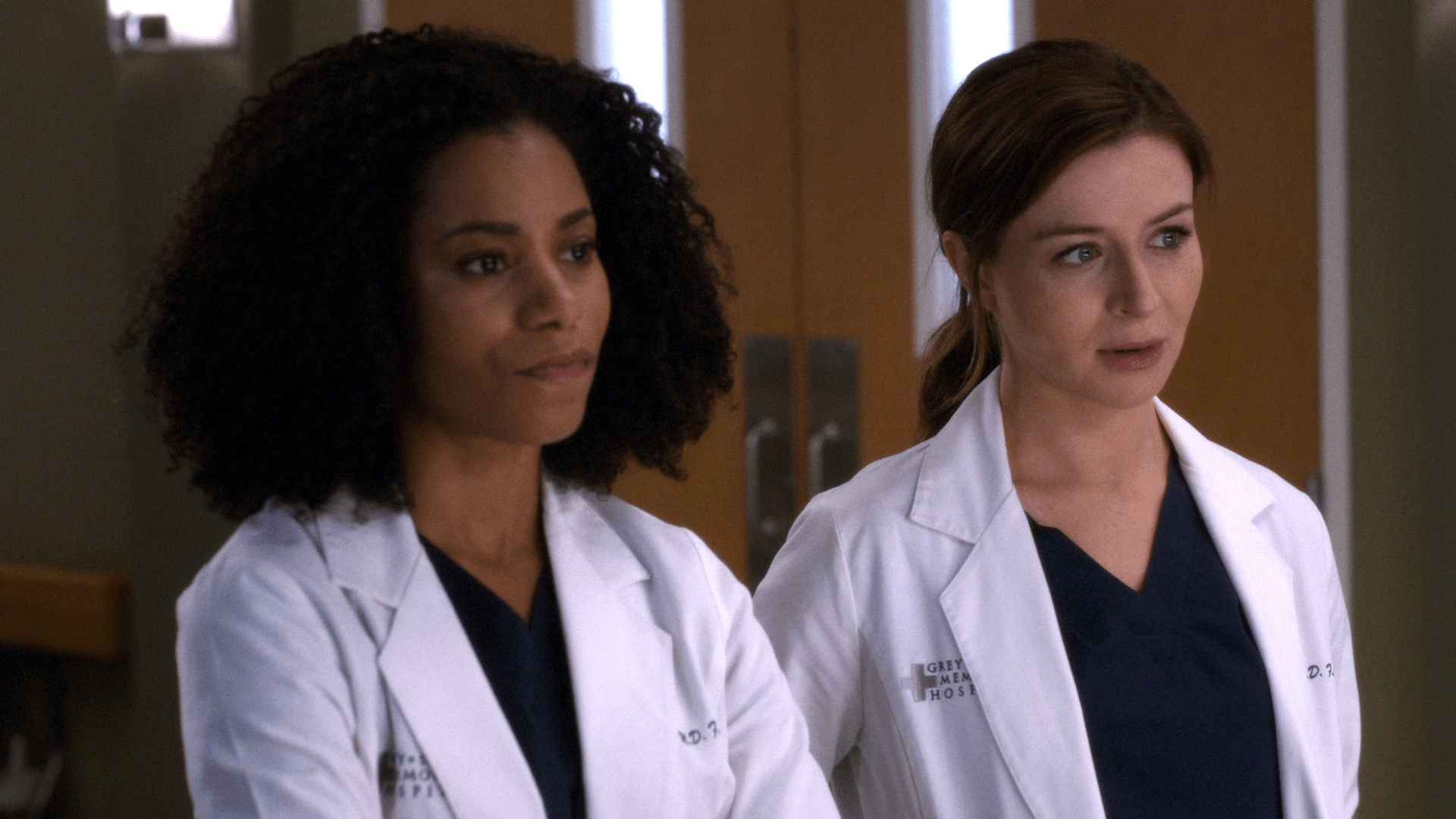 watch-grey-s-anatomy-s13-episode-3-on-disney-south-africa-english
