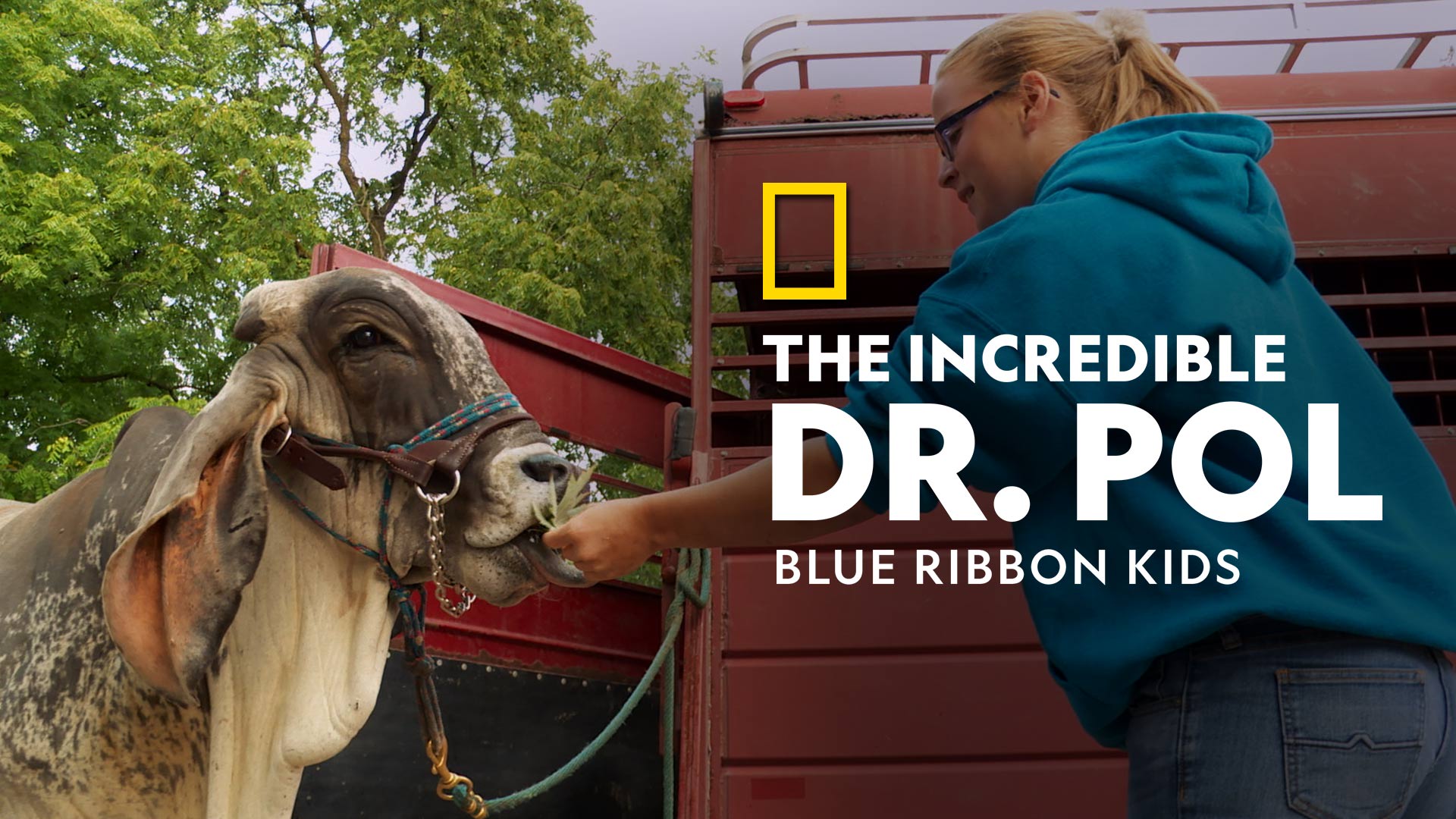 The Incredible Dr. Pol: Blue Ribbon Kids