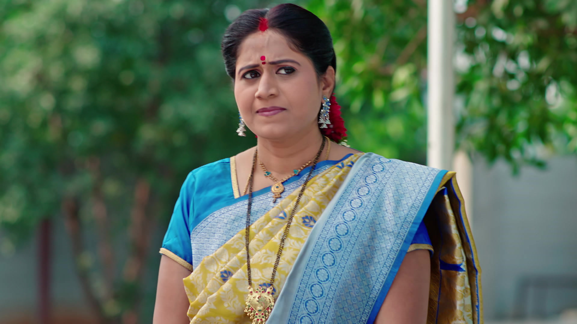 Parvathi Pleads with Vikramaditya