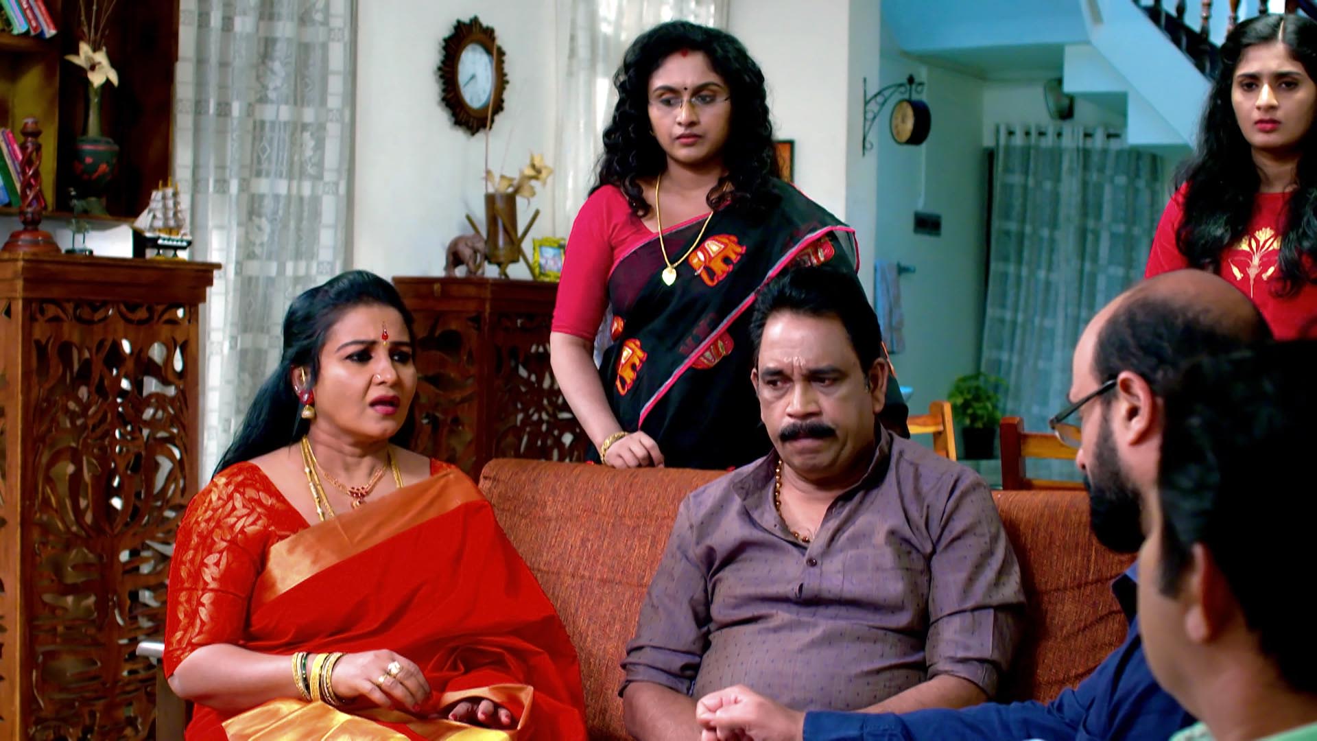 Watch Palunku Episode 30 on JioHotstar