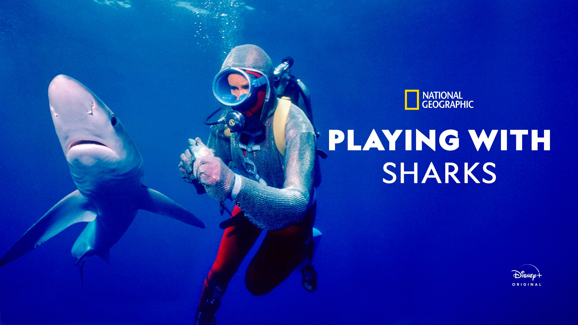 Playing with Sharks - Trailer - Disney+ Hotstar