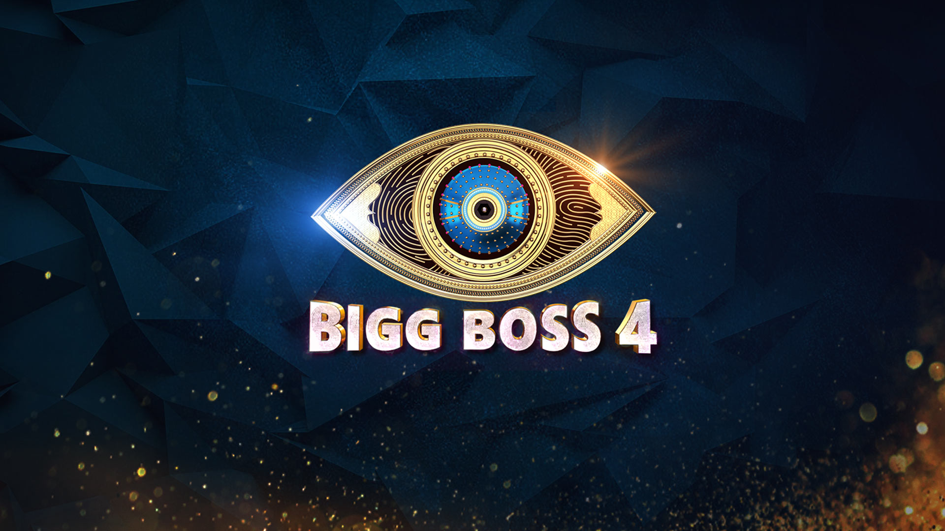 Bigg Boss Telugu Season 4 Latest 