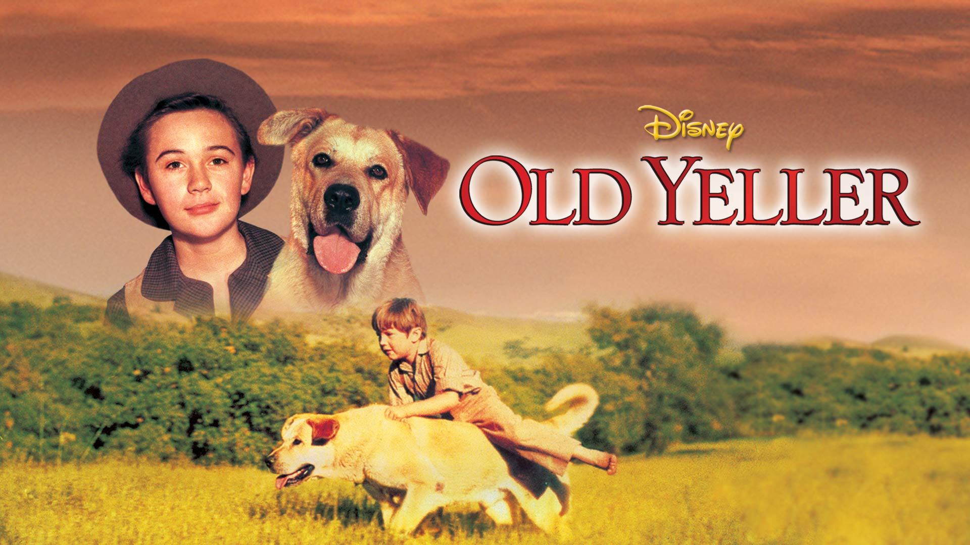 Old Yeller