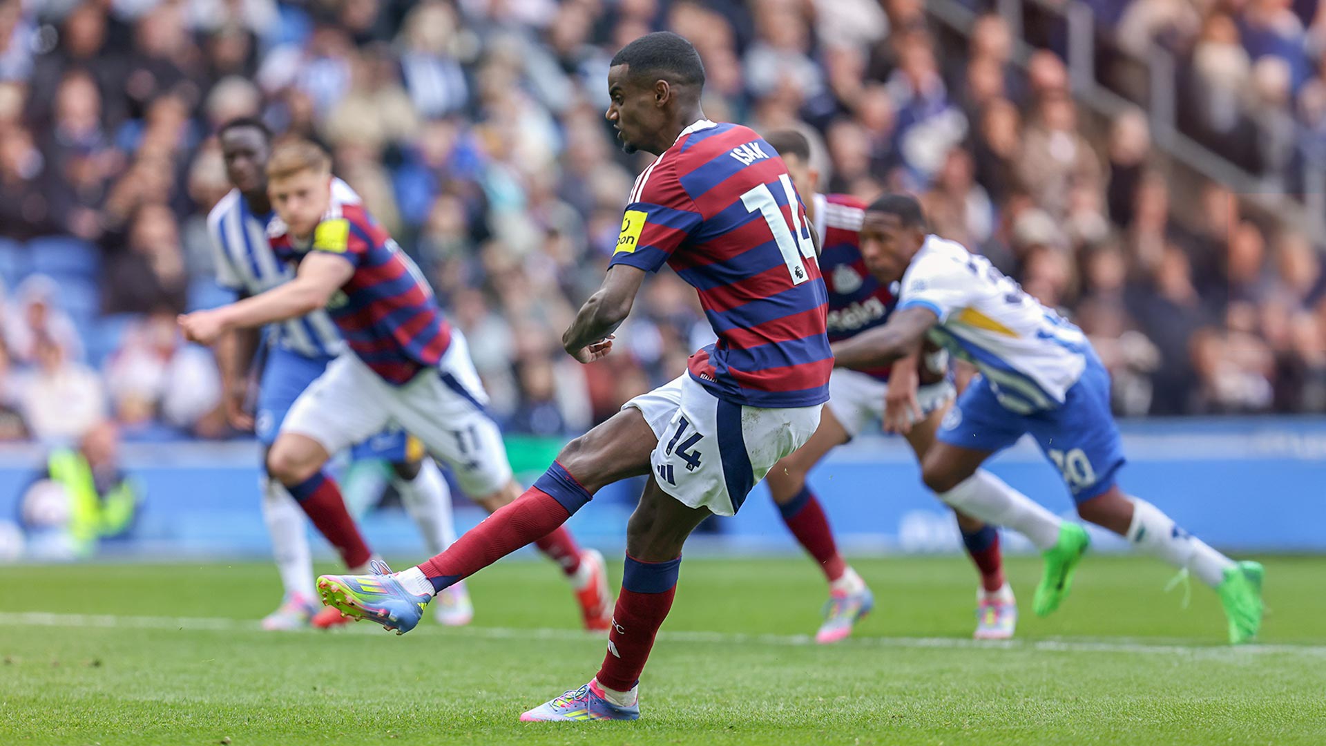 Watch Brighton 1-1 Newcastle video