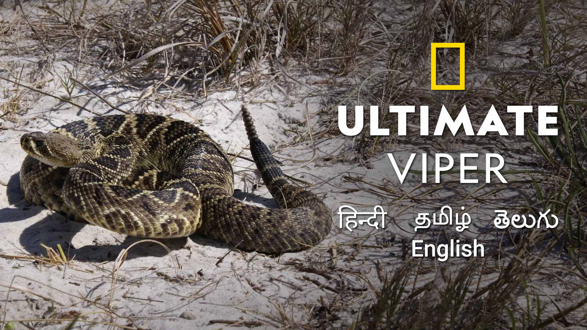 Ultimate Viper: Fear The Fang