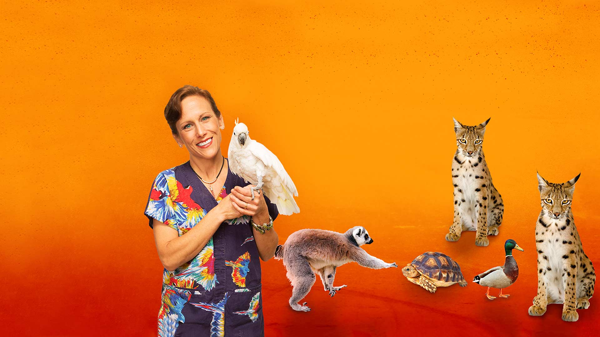 Dr. K's Exotic Animal ER Disney+