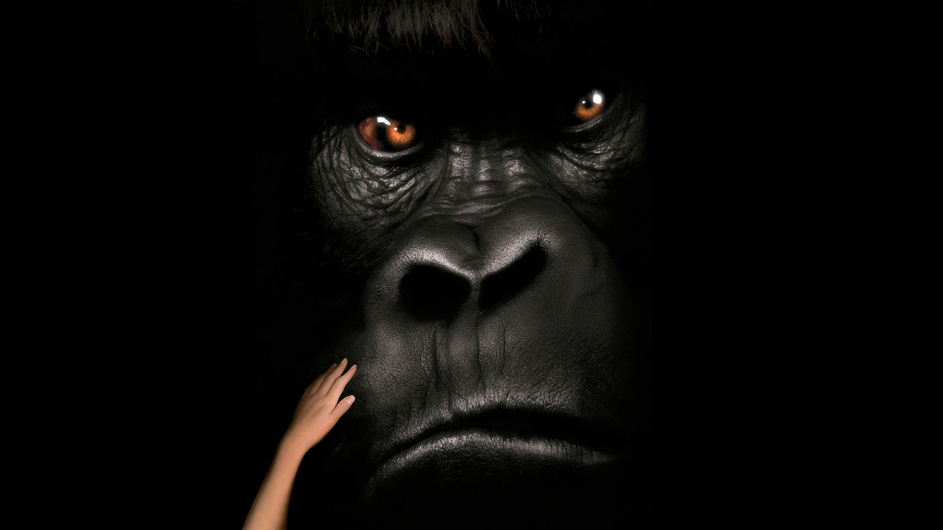 Mighty Joe Young - Disney+