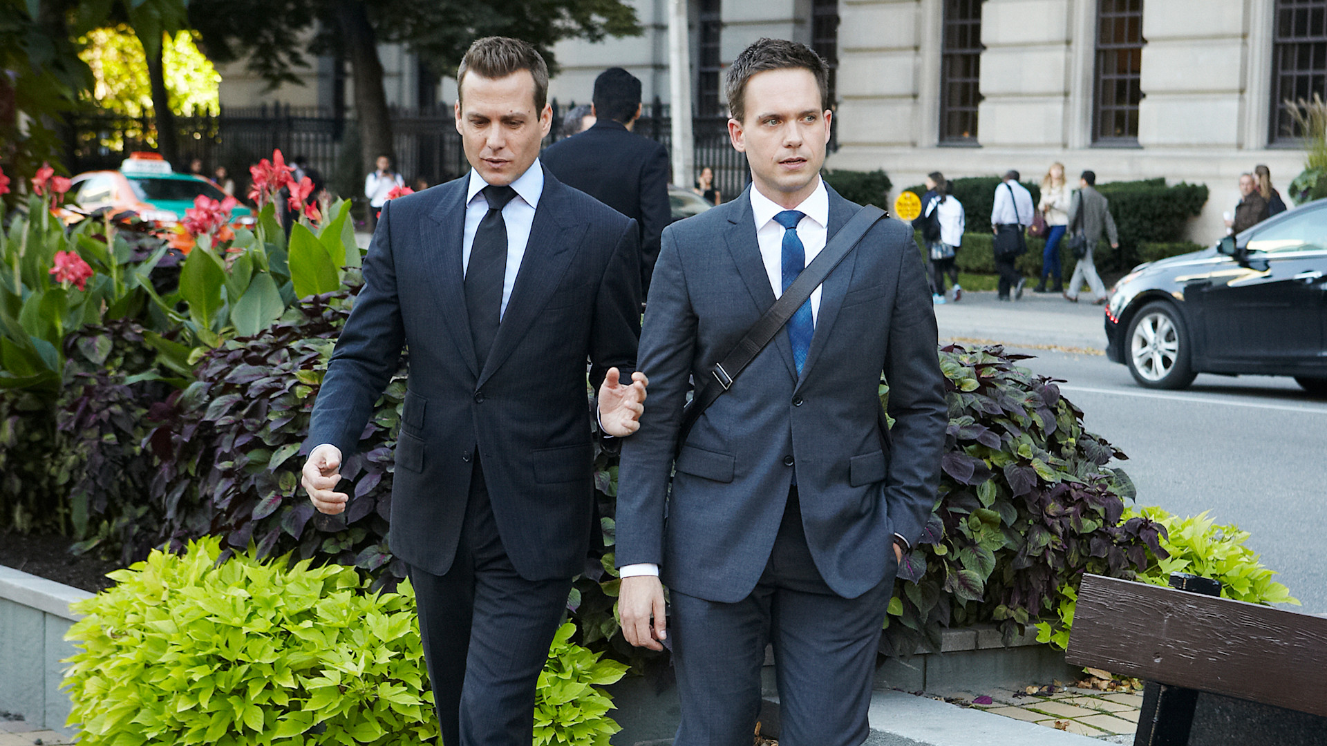 Watch Suits S3 Episode 13 on Disney+