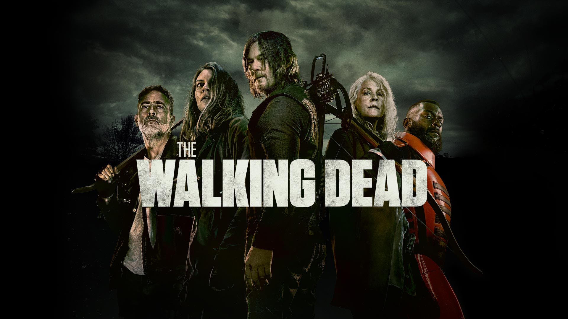 Watch the walking dead best sale all seasons