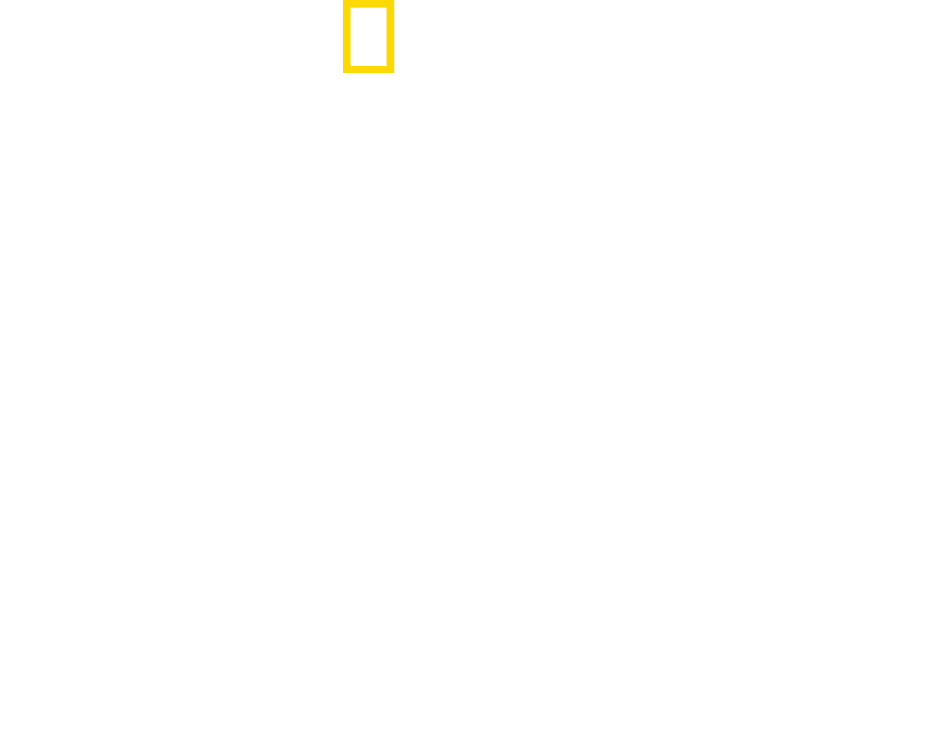 Hitler's Death Squad Disney+