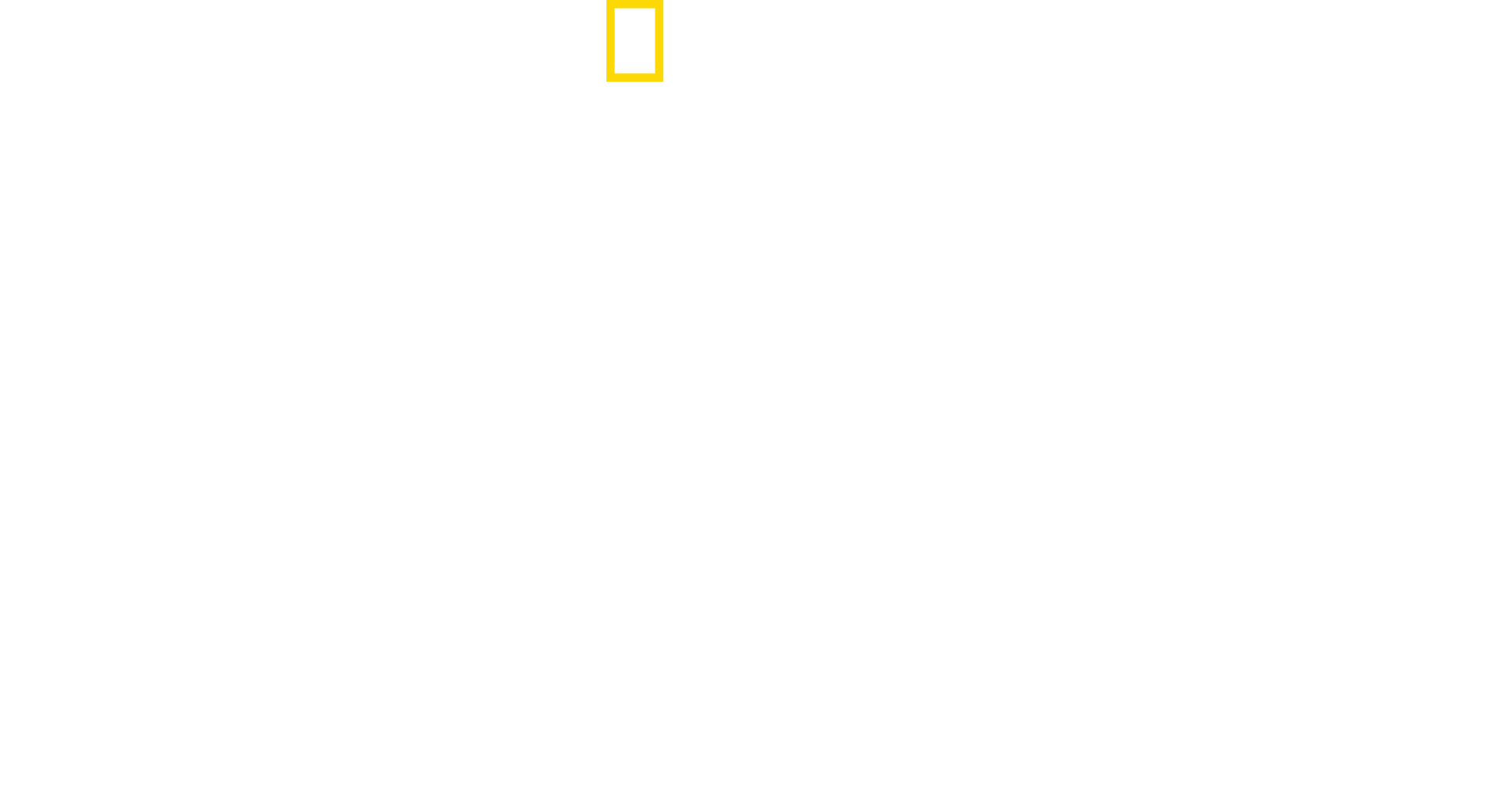 Magic of Disney's Animal Kingdom - Disney+