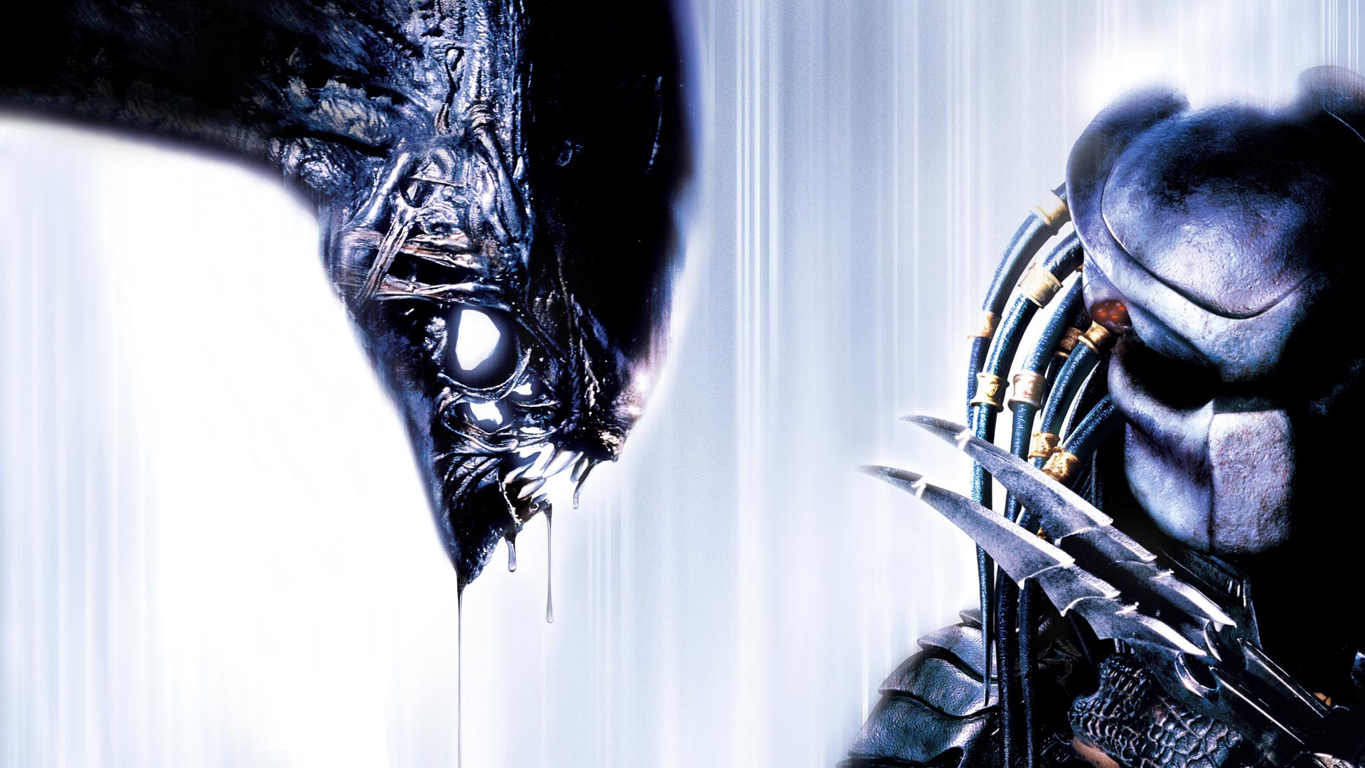 Alien Vs Predator - Disney+ Hotstar