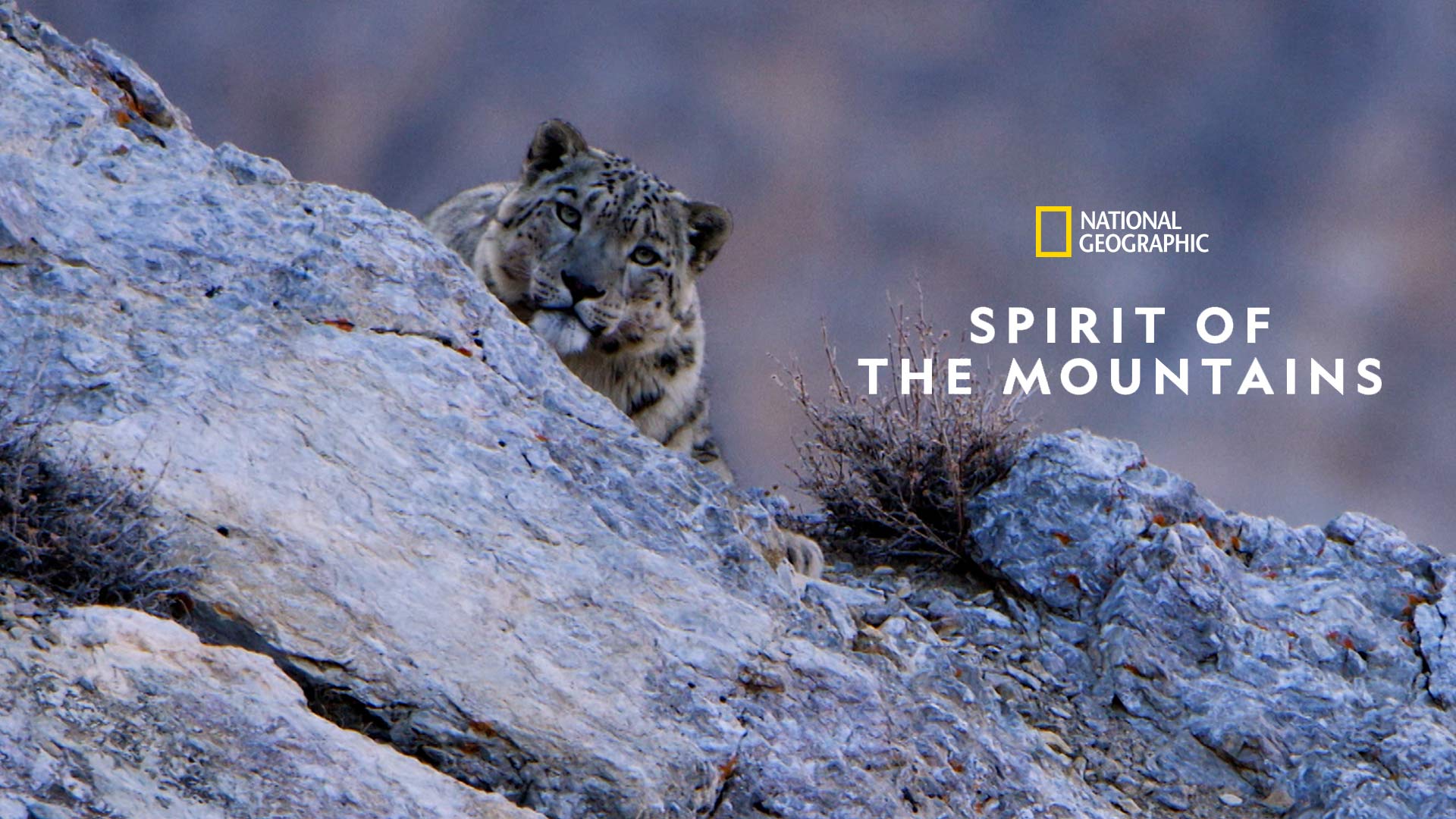 Spirit of the Mountains