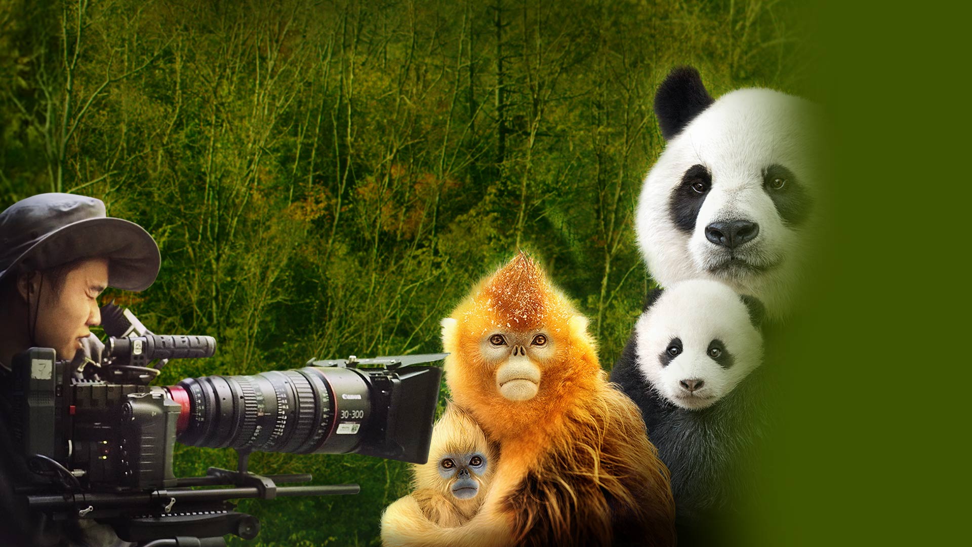 disneynature-expedition-china-disney