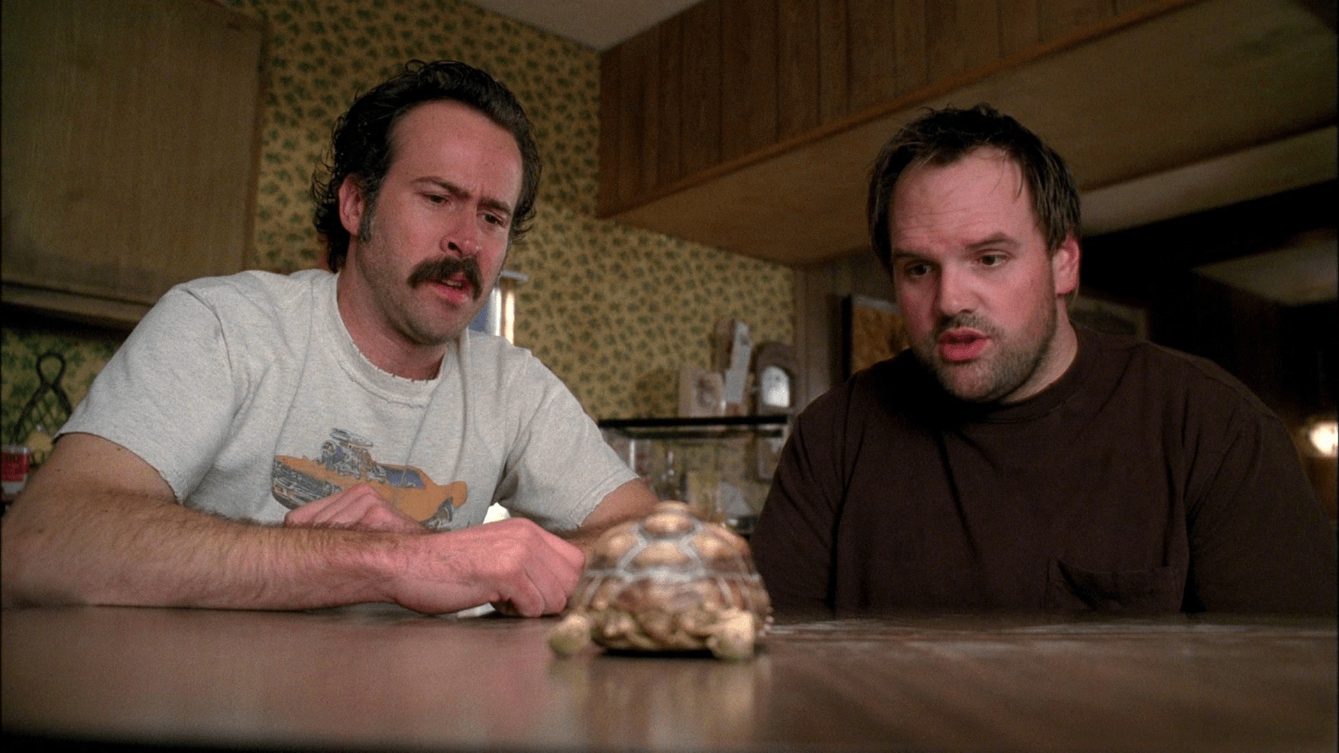 I WATCH MY NAME IS EARL visual data 7