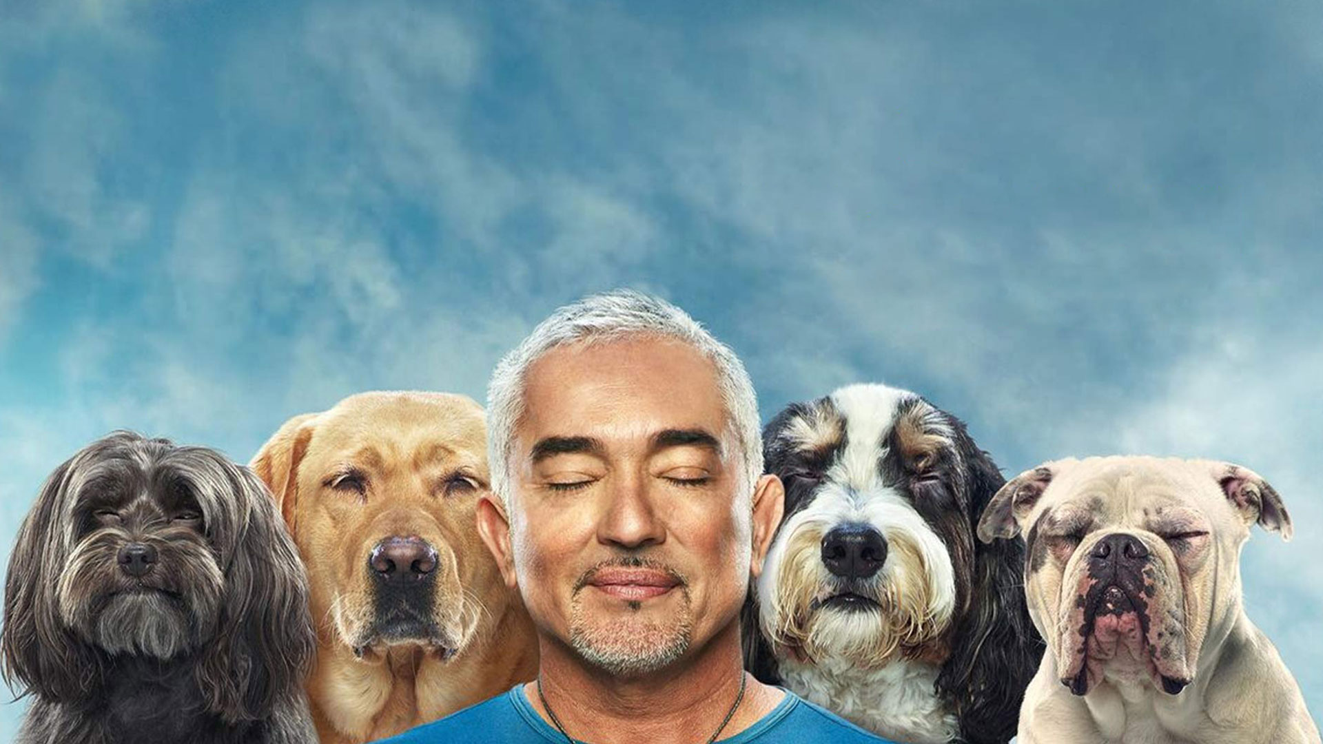 Cesar Millan: Better Human Better Dog Family Series, now streaming on