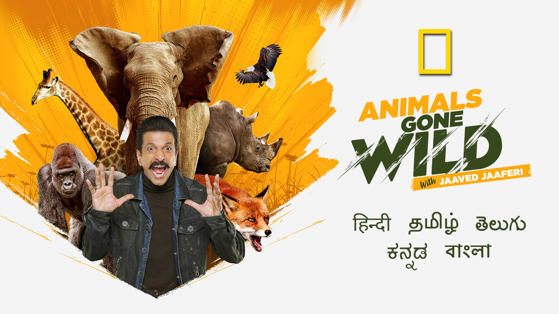 Animals Gone Wild with Jaaved Jaaferi