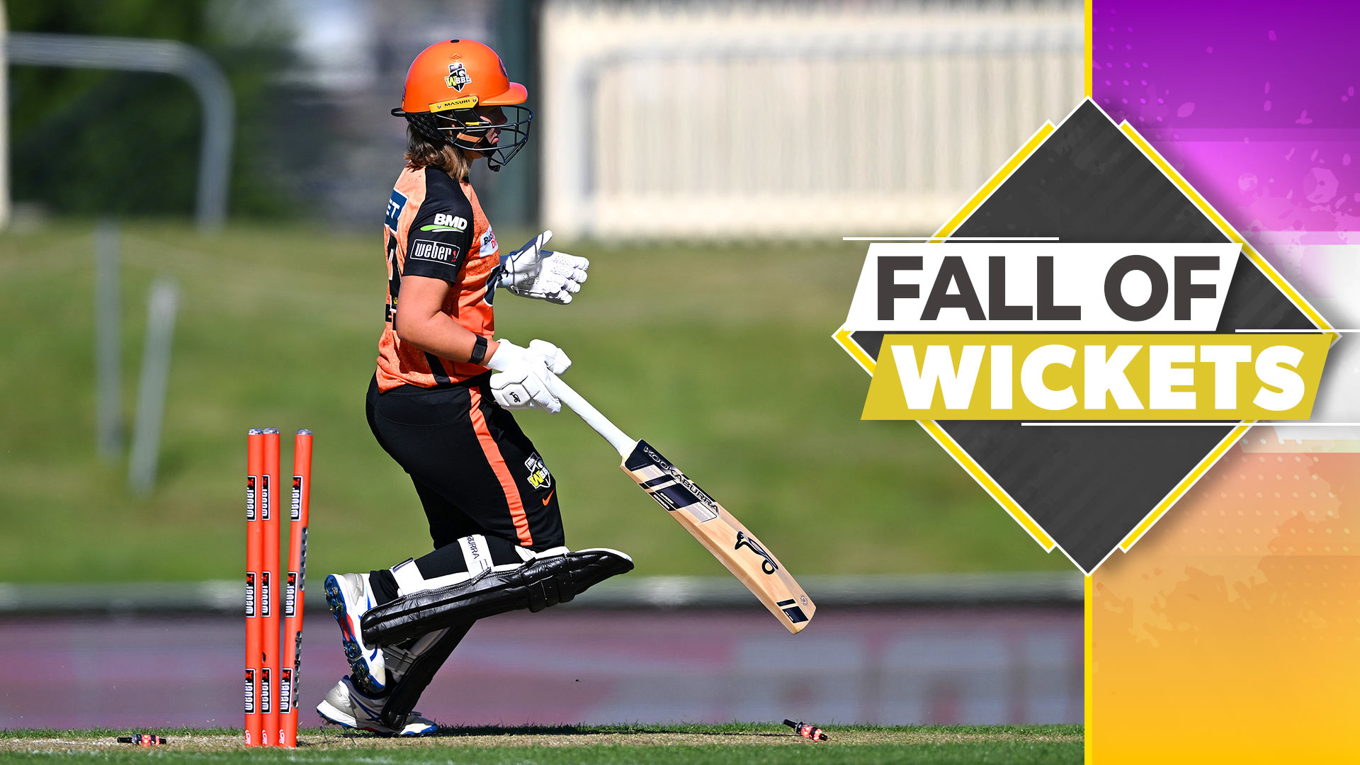 Sixers vs Scorchers: Scorchers FOW