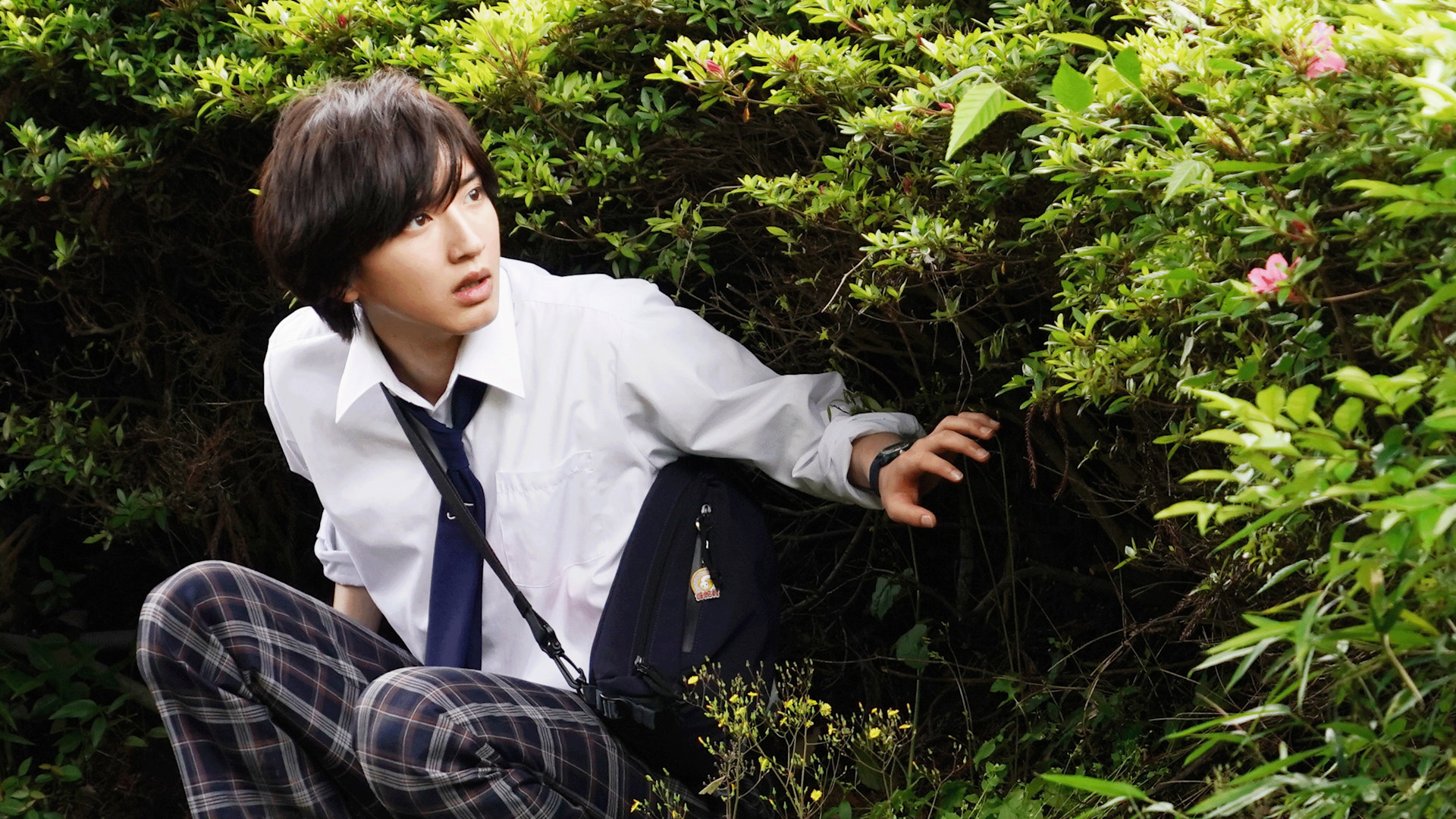 The Files of Young Kindaichi Disney+