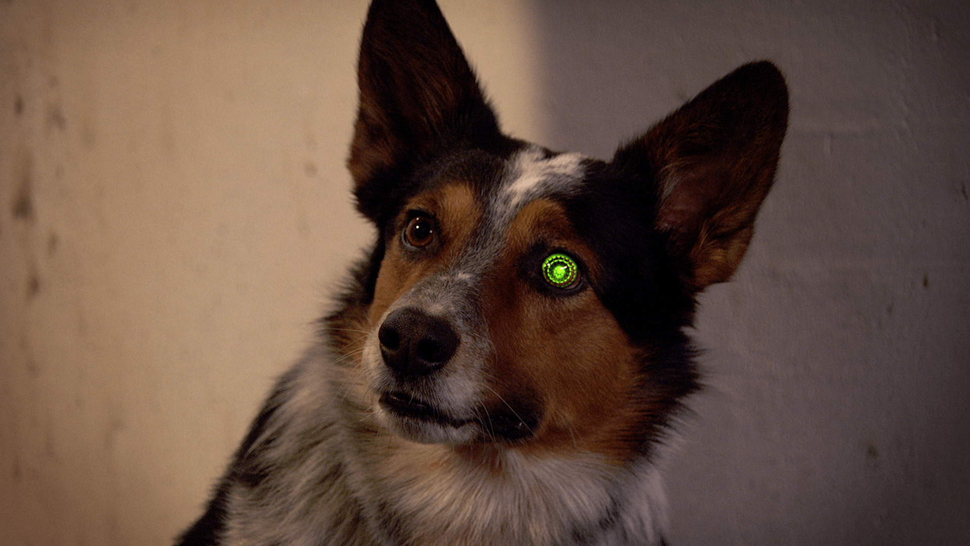 Watch Lab Rats S4 Episode 5 on Disney+ South Africa | English Heroes Series