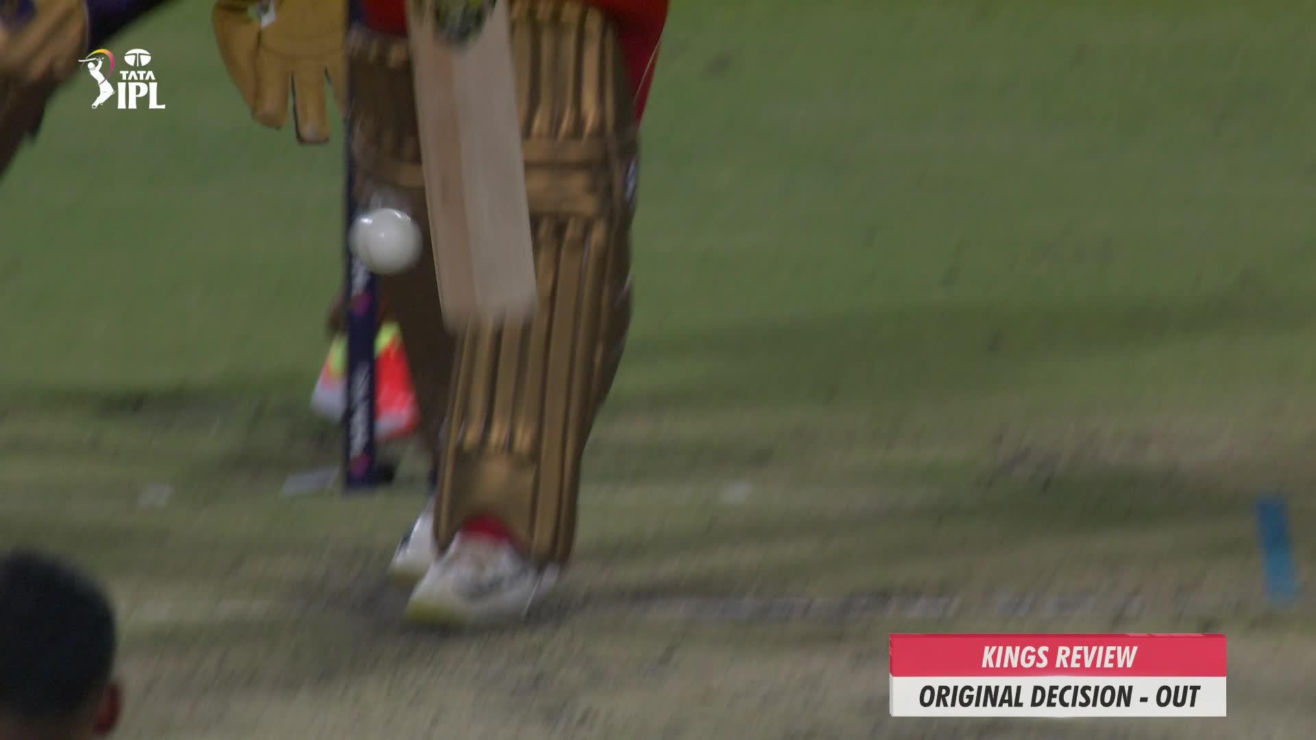 Wicket!