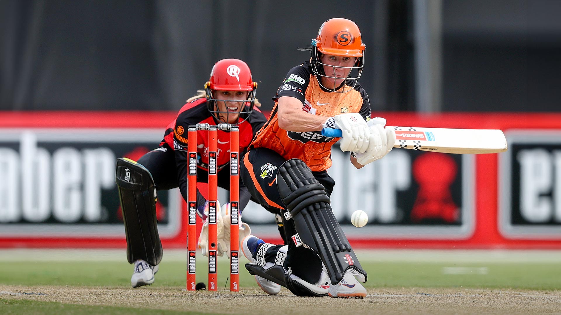 Replay: Renegades vs Scorchers